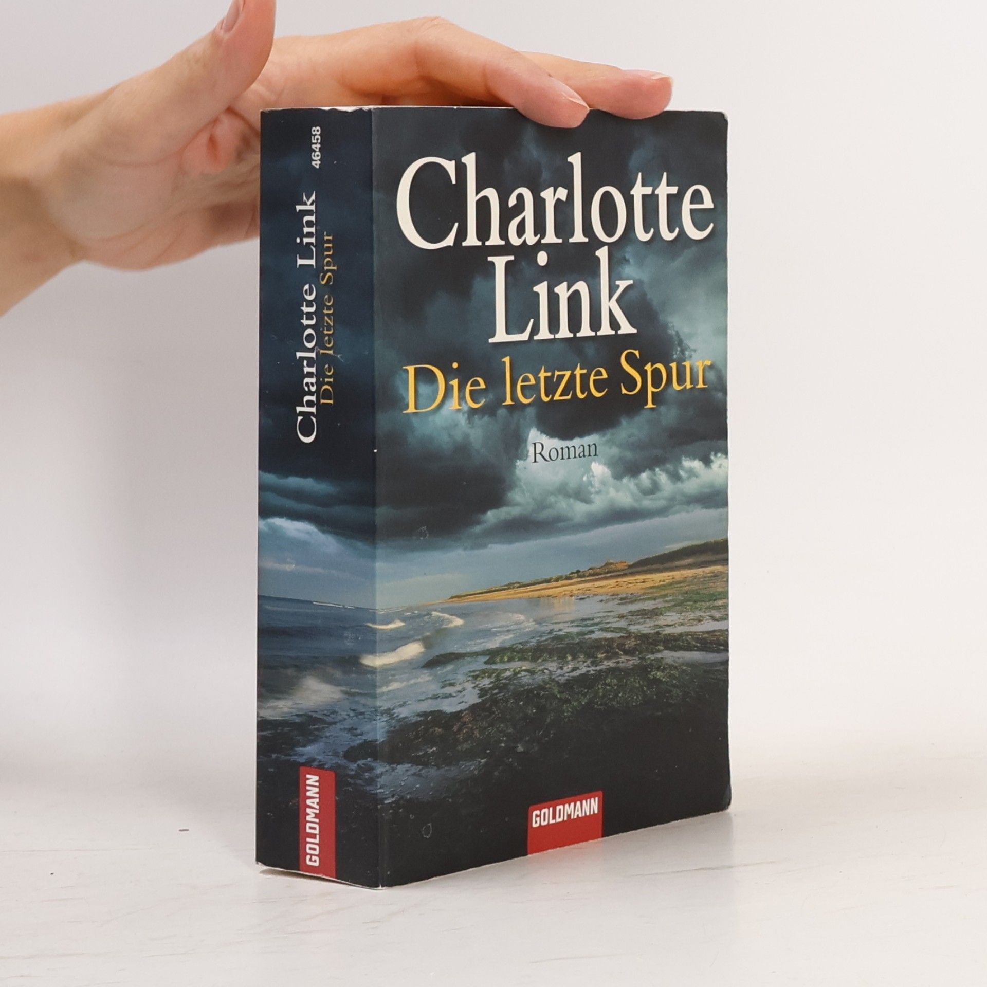 Charlotte Link Die letzte Spur