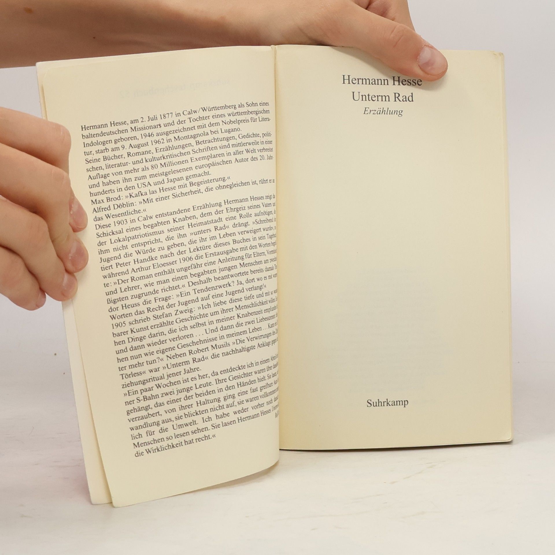Hermann Hesse Unterm Rad