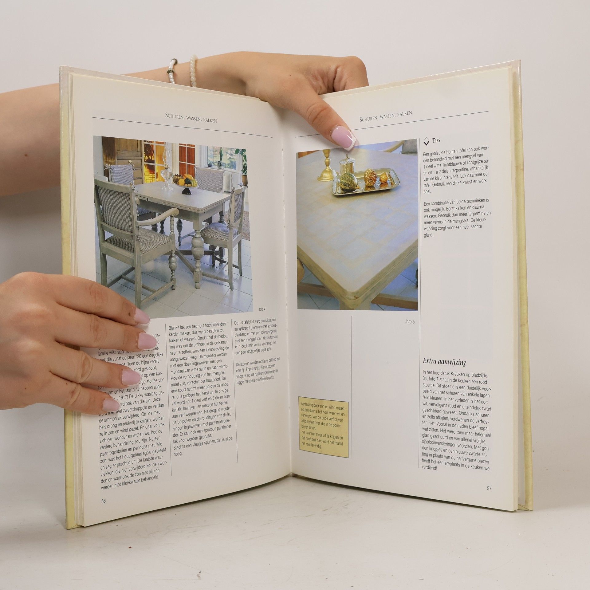 Guusanke Vogt Woondecoratieboek