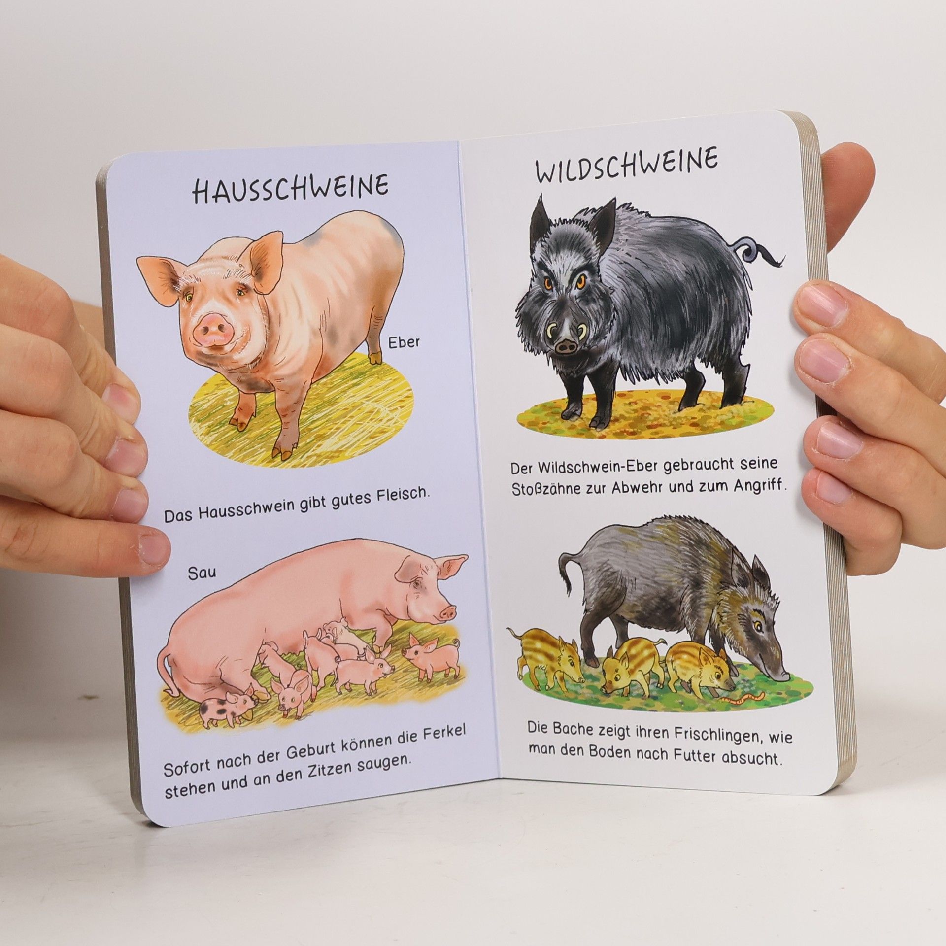 Antonín Šplíchal Tiere unserer Heimat