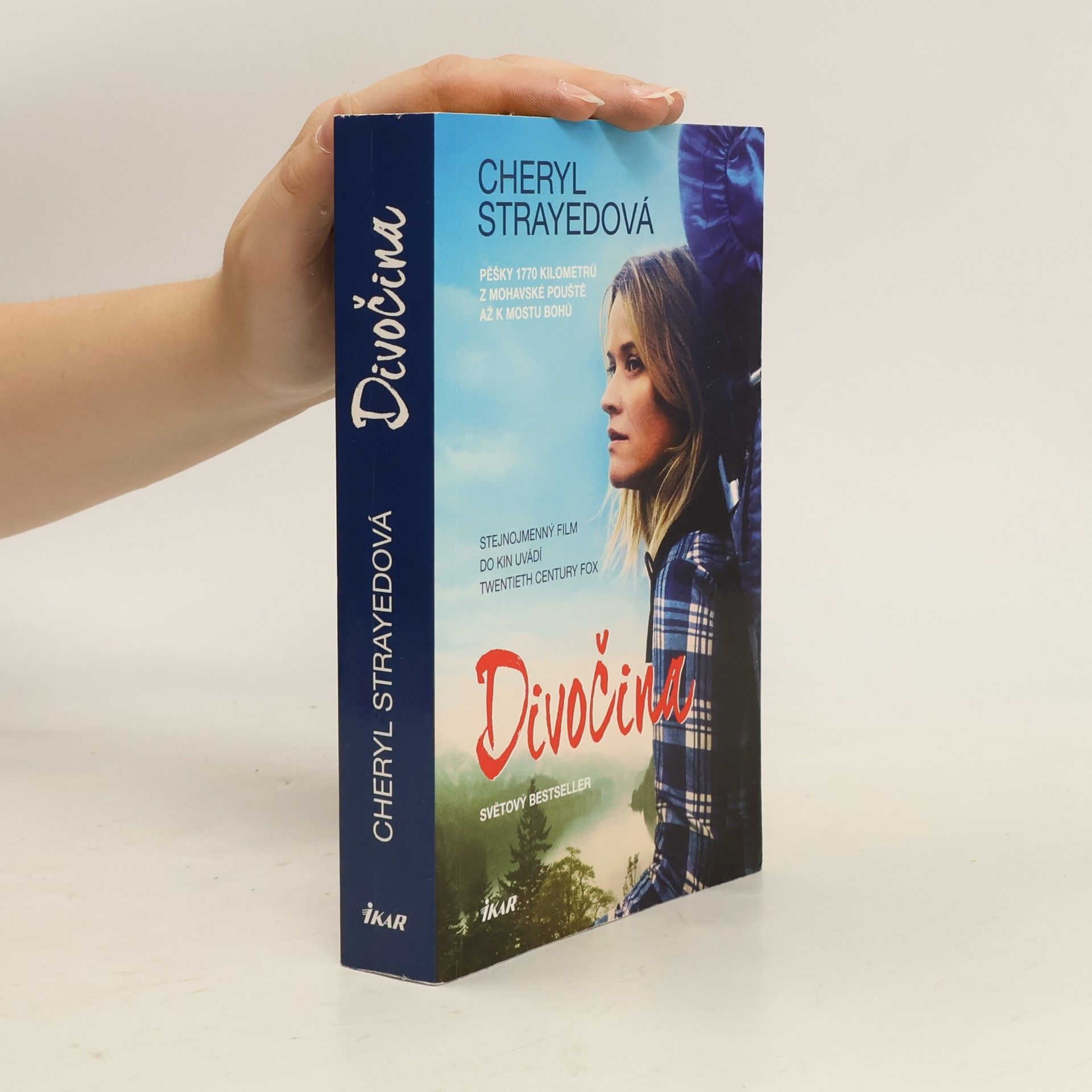 Cheryl Strayed Divočina. Pěšky 1770 kilometrů z Mohavské pouště až k mostu bohů