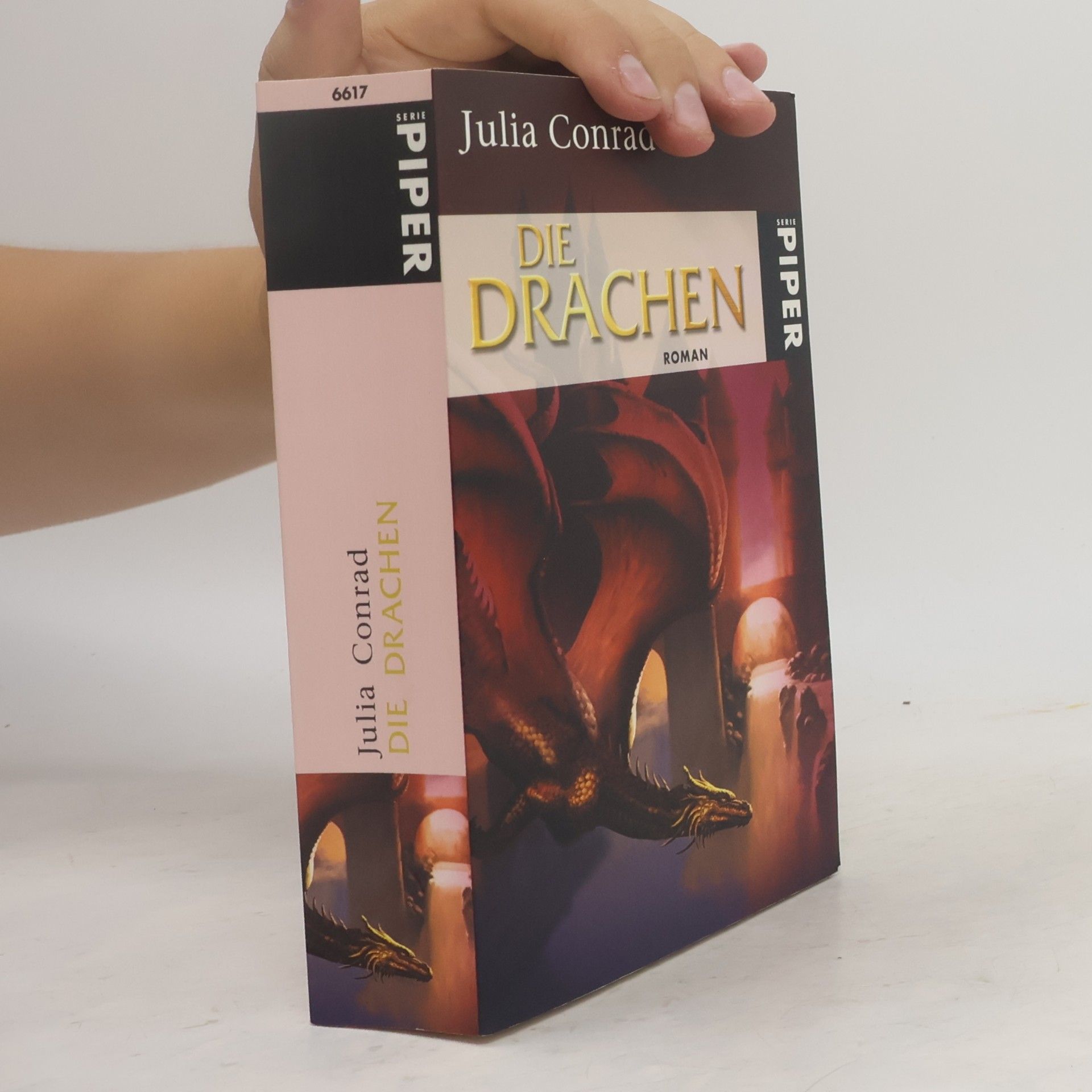 Julia Conrad Die Drachen