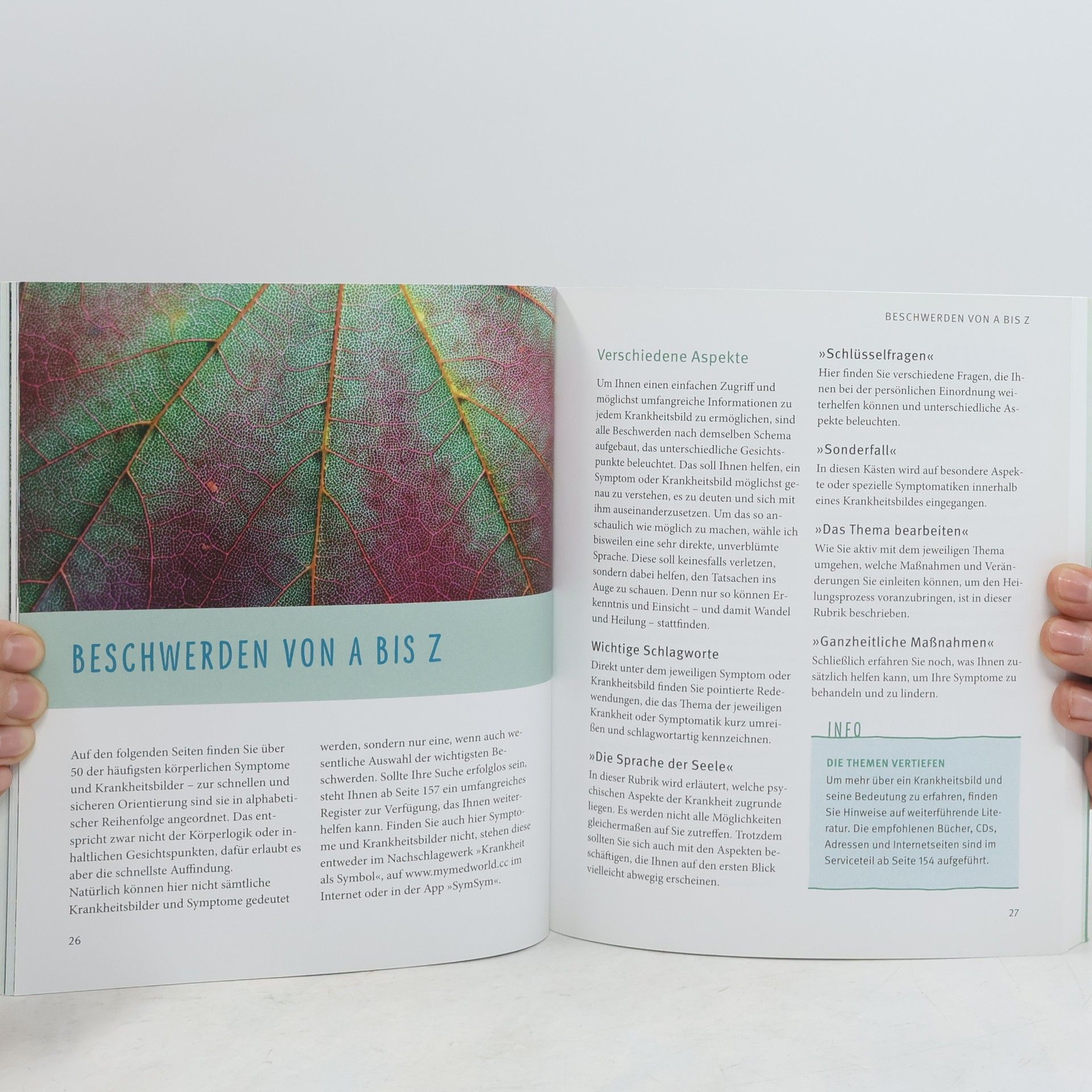 Ruediger Dahlke Krankheit als Chance