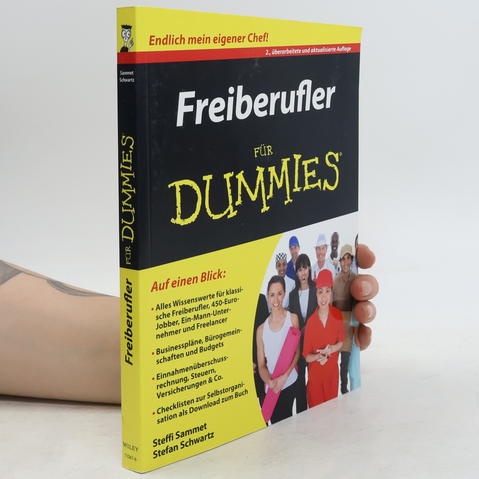 Stefanie Sammet Freiberufler für Dummies