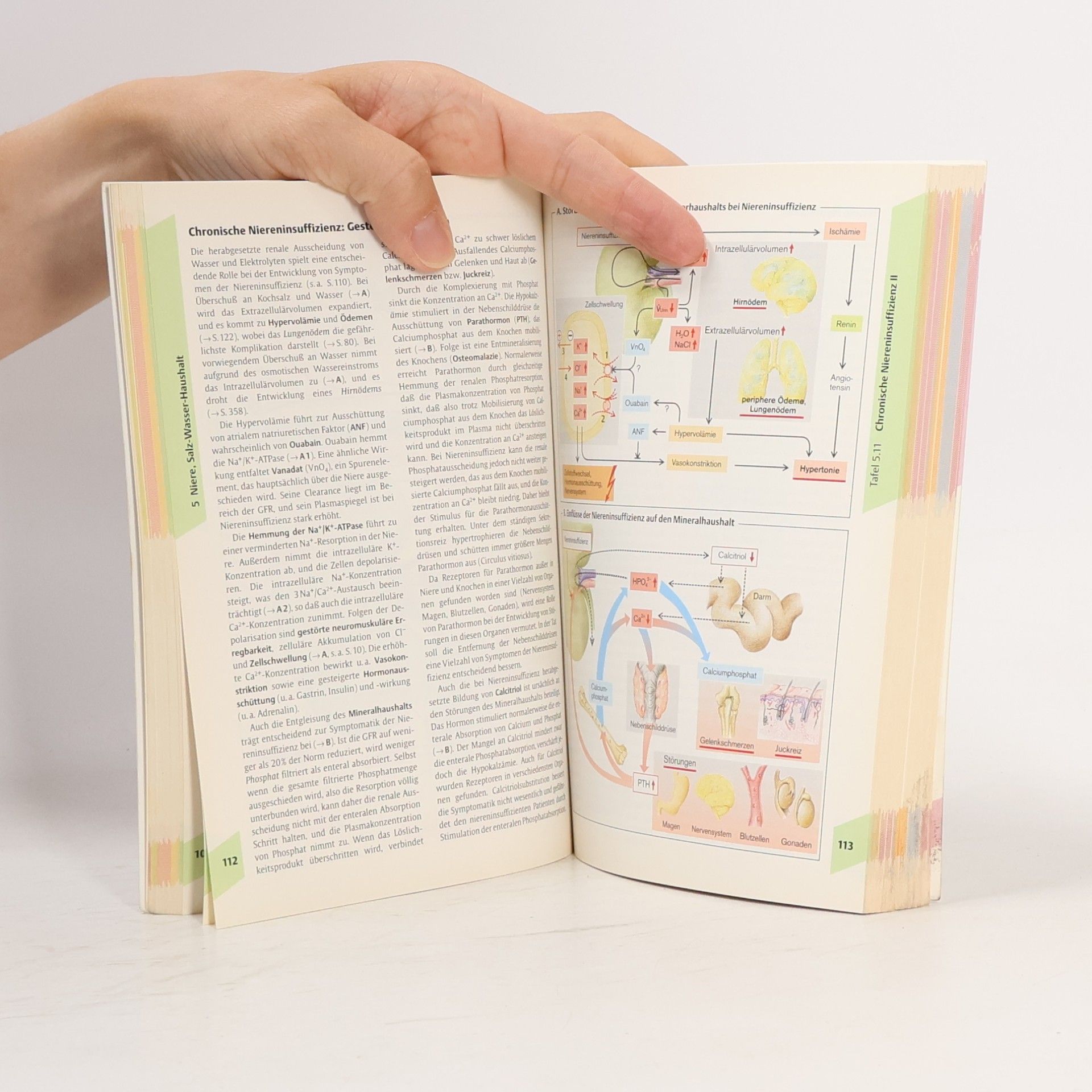 Stefan Silbernagl Taschenatlas der Pathophysiologie