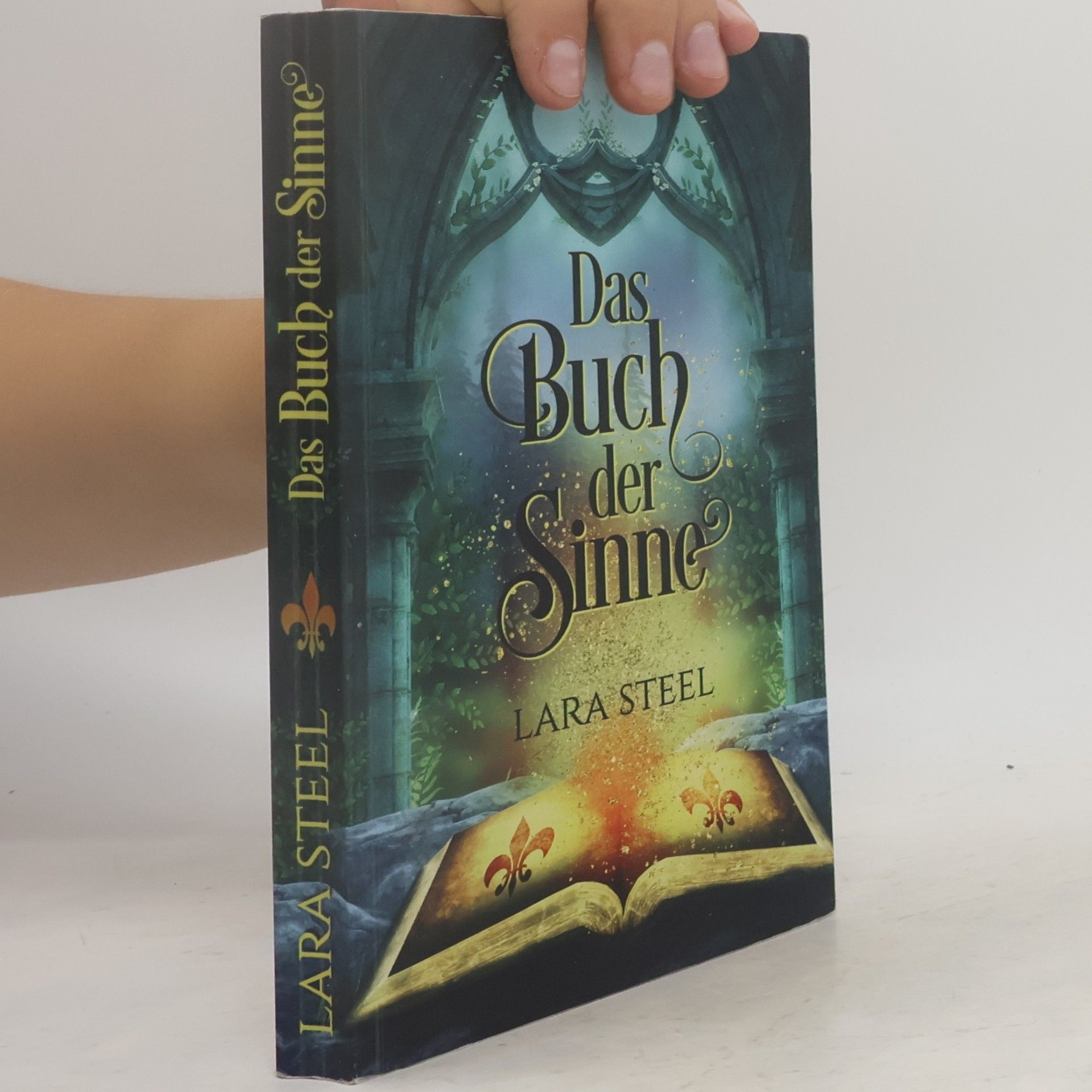 Lara Steel Das Buch der Sinne