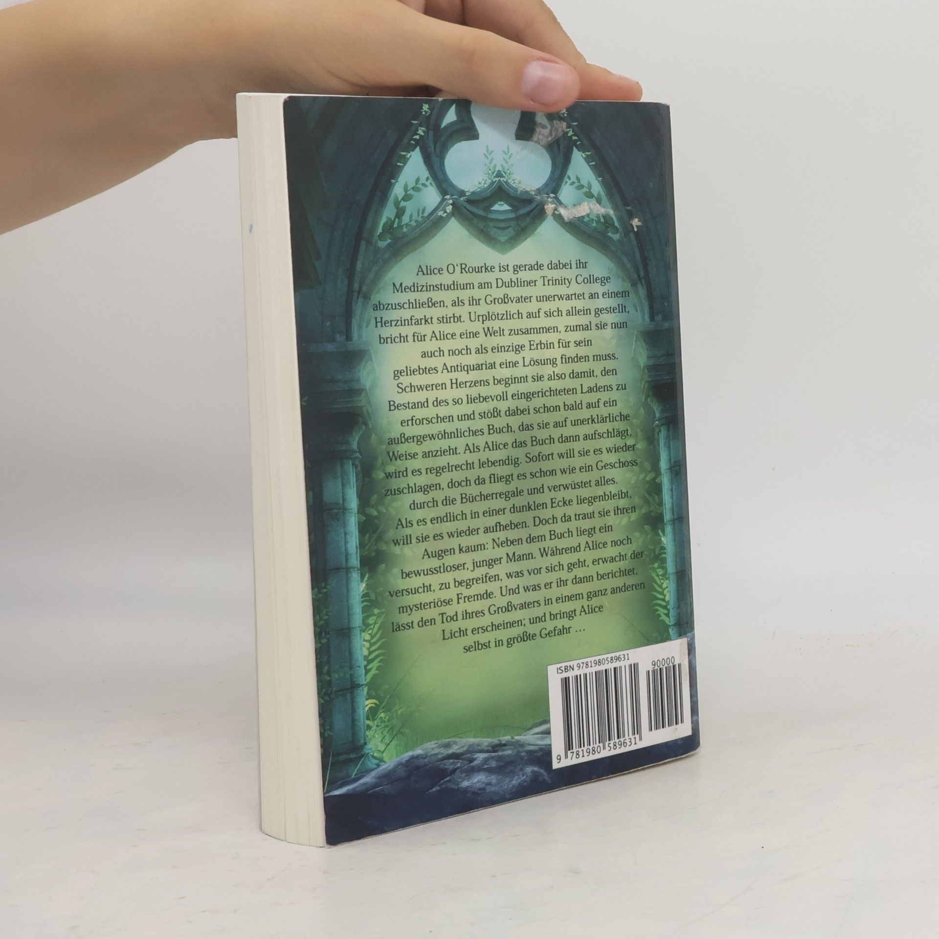 Lara Steel Das Buch der Sinne