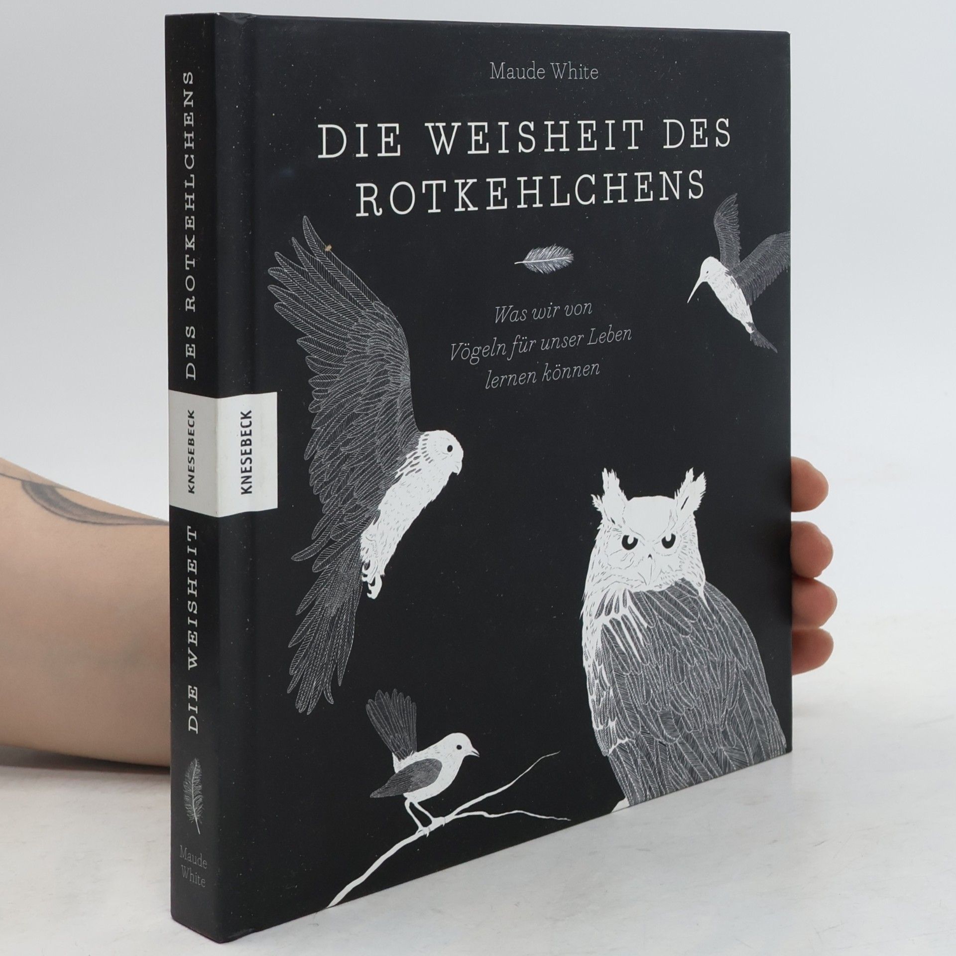 Maude White Die Weisheit des Rotkehlchens