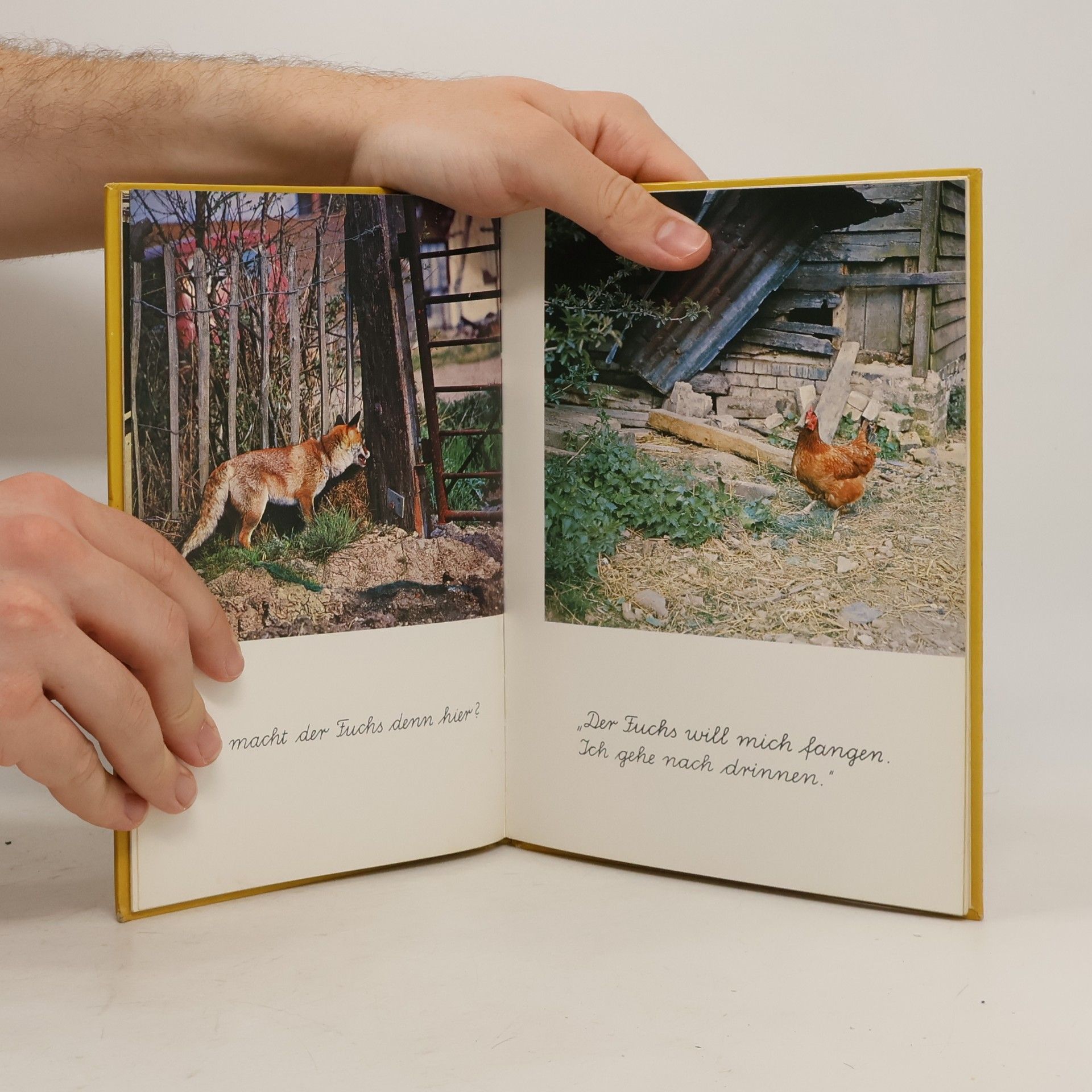 Helen Piers Reinbeker Kinderbücher: Die Gans legt ein Ei. Schreibschrift