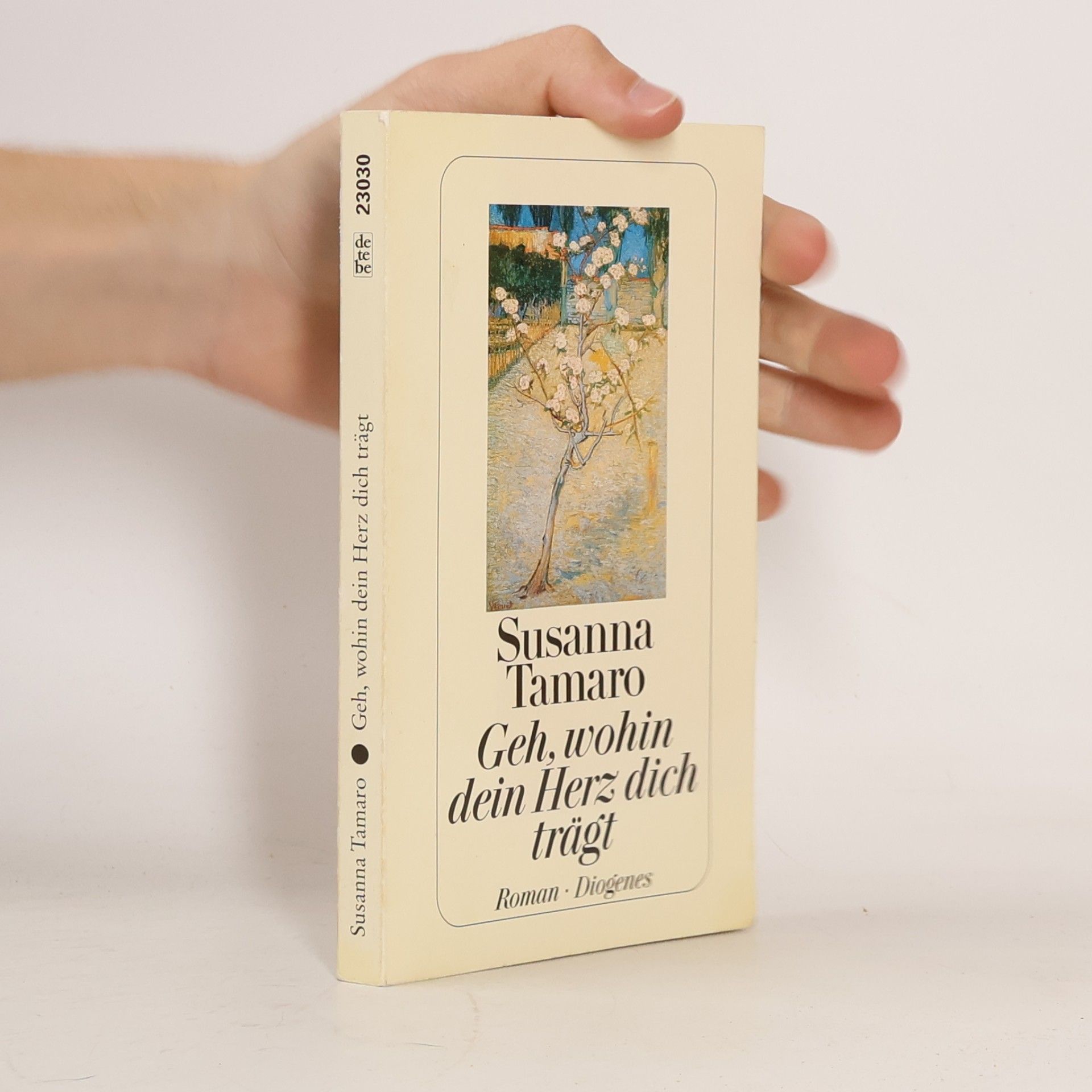 Susanna Tamaro Geh, wohin dein Herz dich trägt