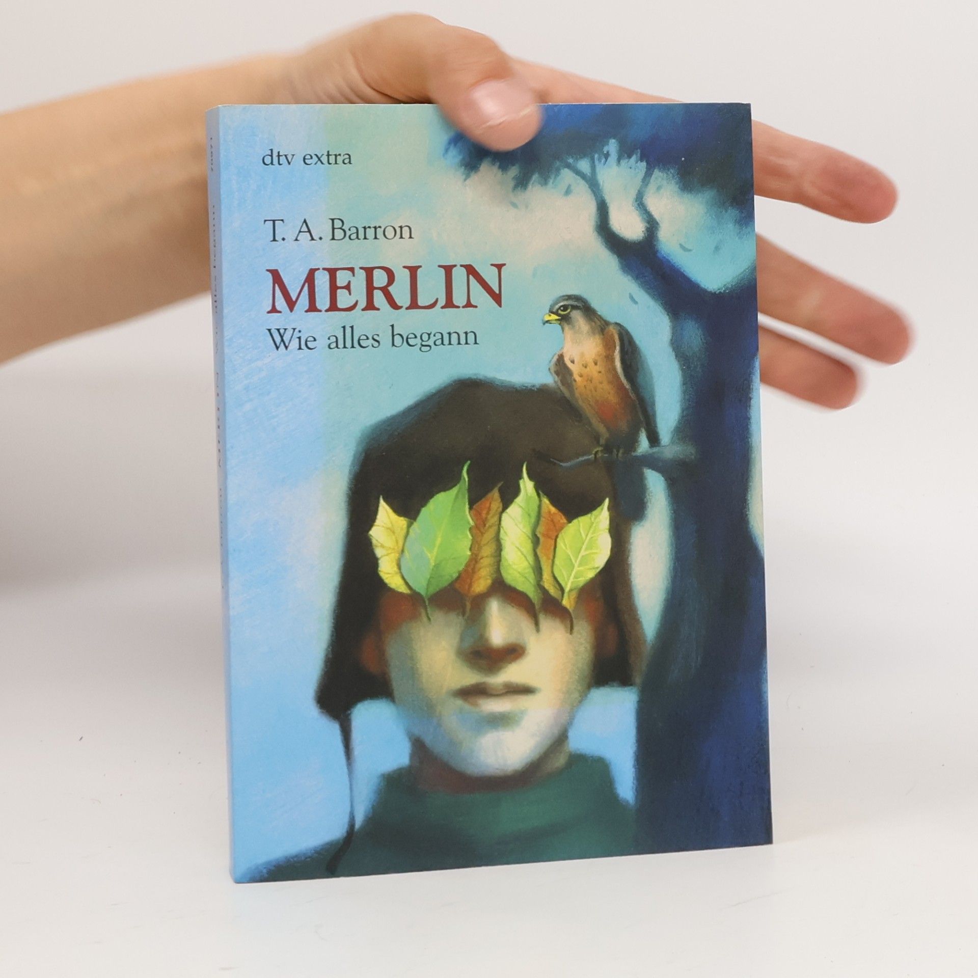 Merlin. Wie alles begann