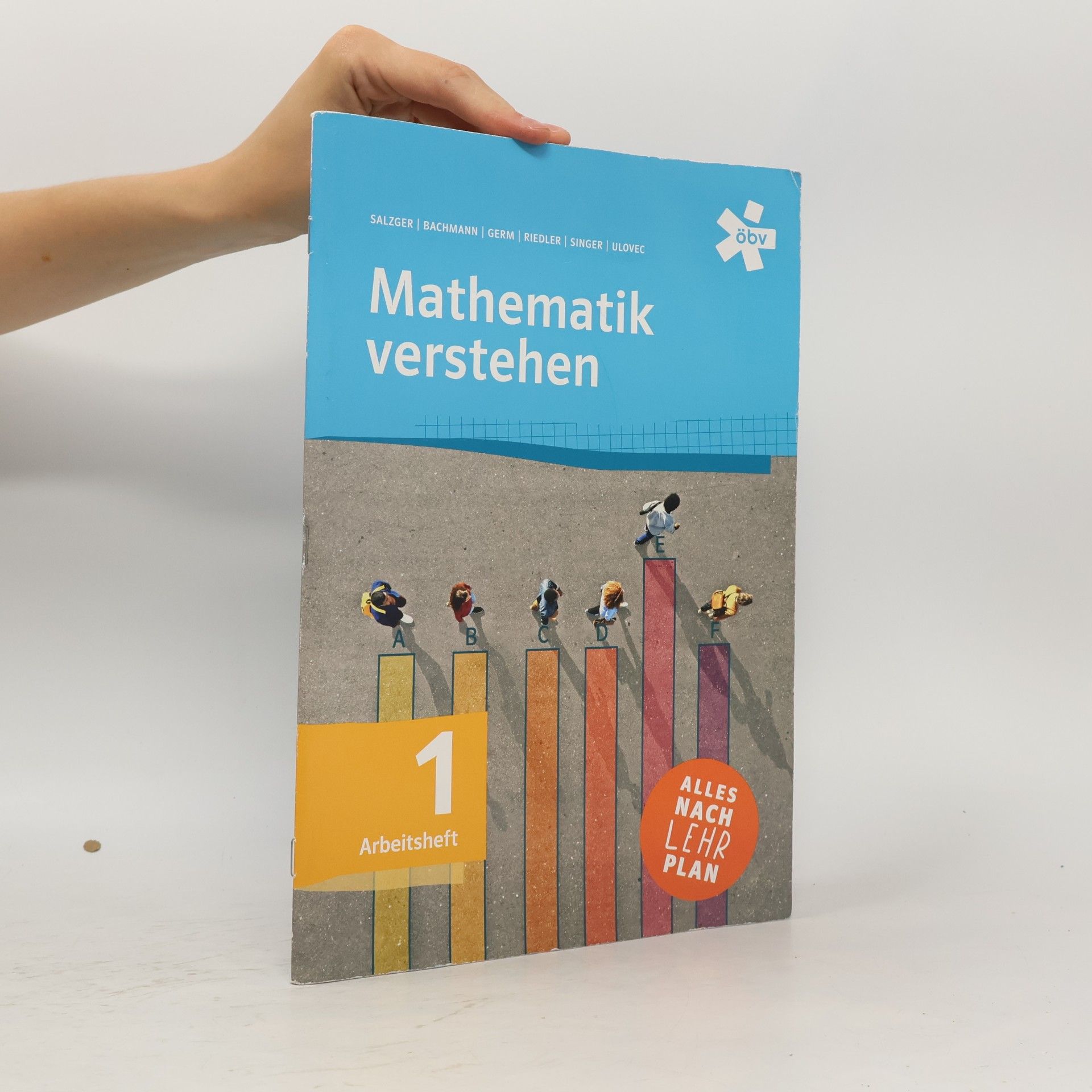 Mathematik verstehen