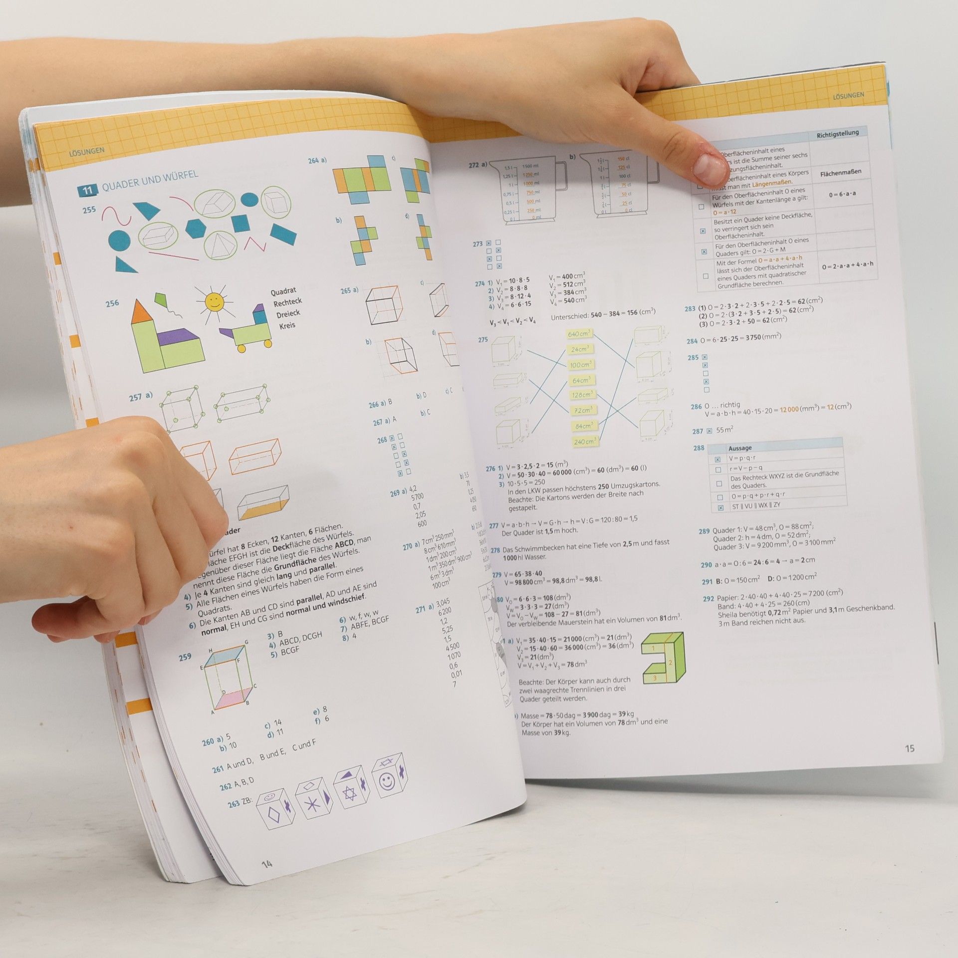 Bernhard Salzger Mathematik verstehen