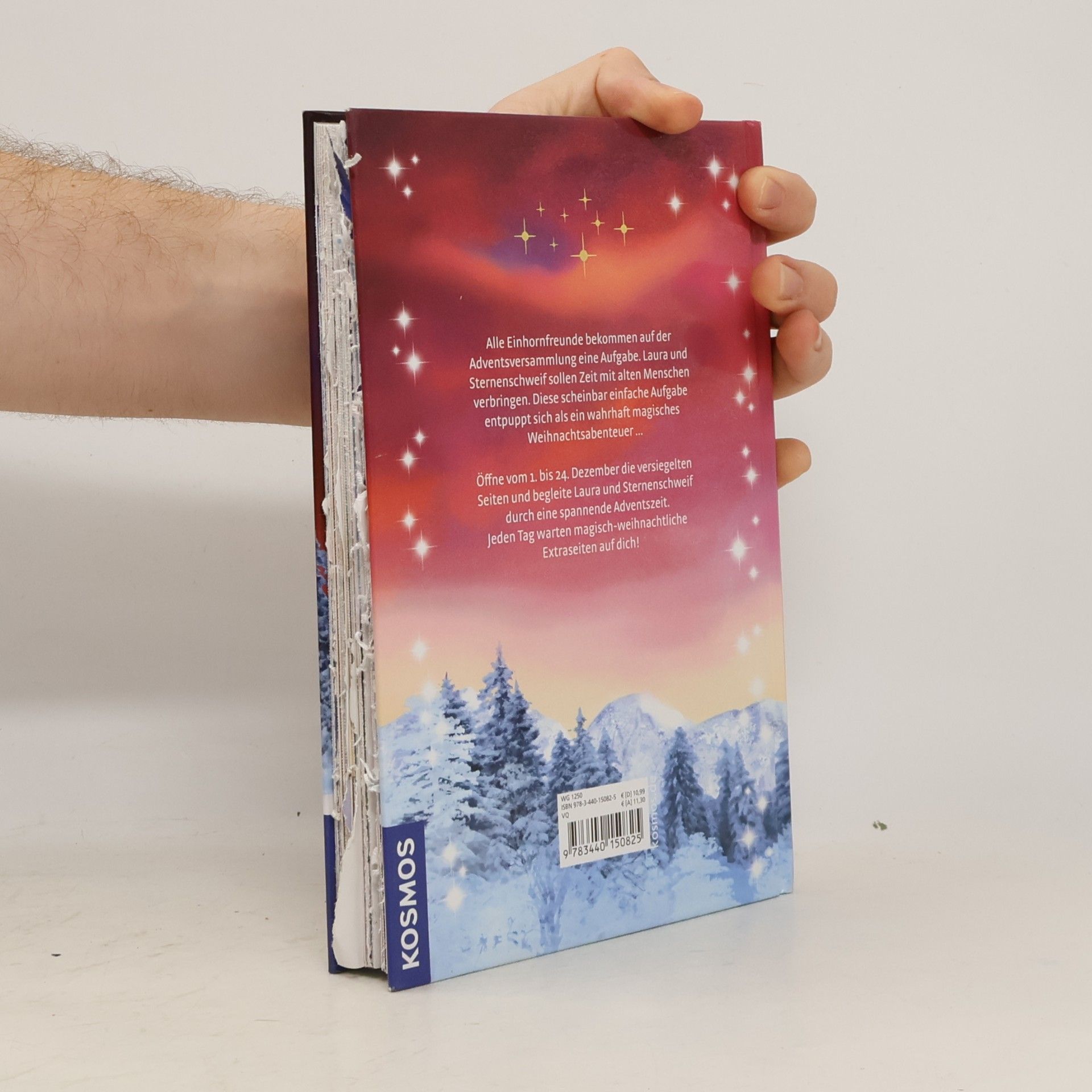 Josephine Llobet Sternenschweif Adventskalender Sternenzauber