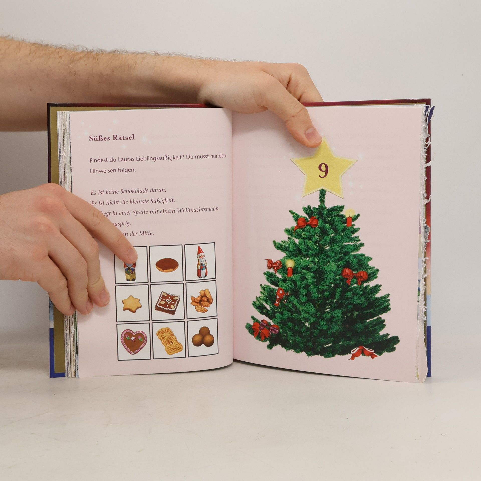 Josephine Llobet Sternenschweif Adventskalender Sternenzauber