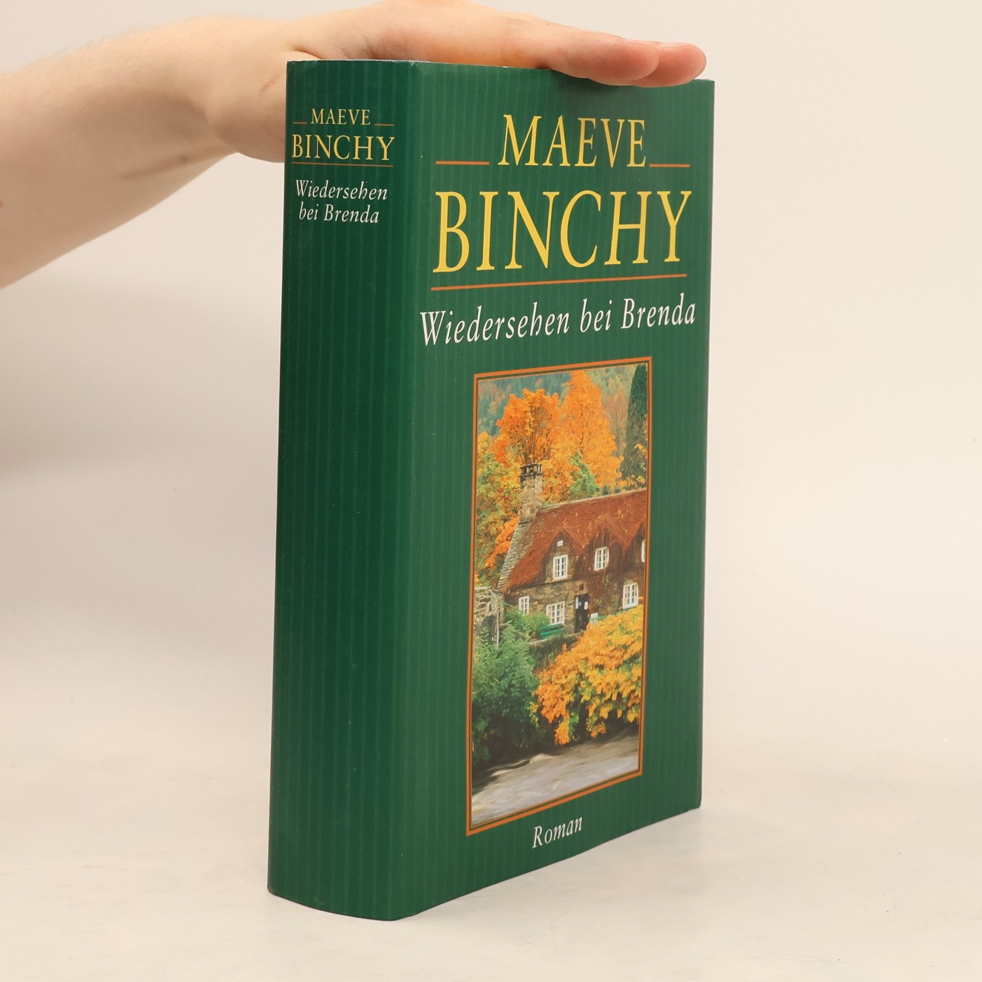 Maeve Binchy Wiedersehen bei Brenda