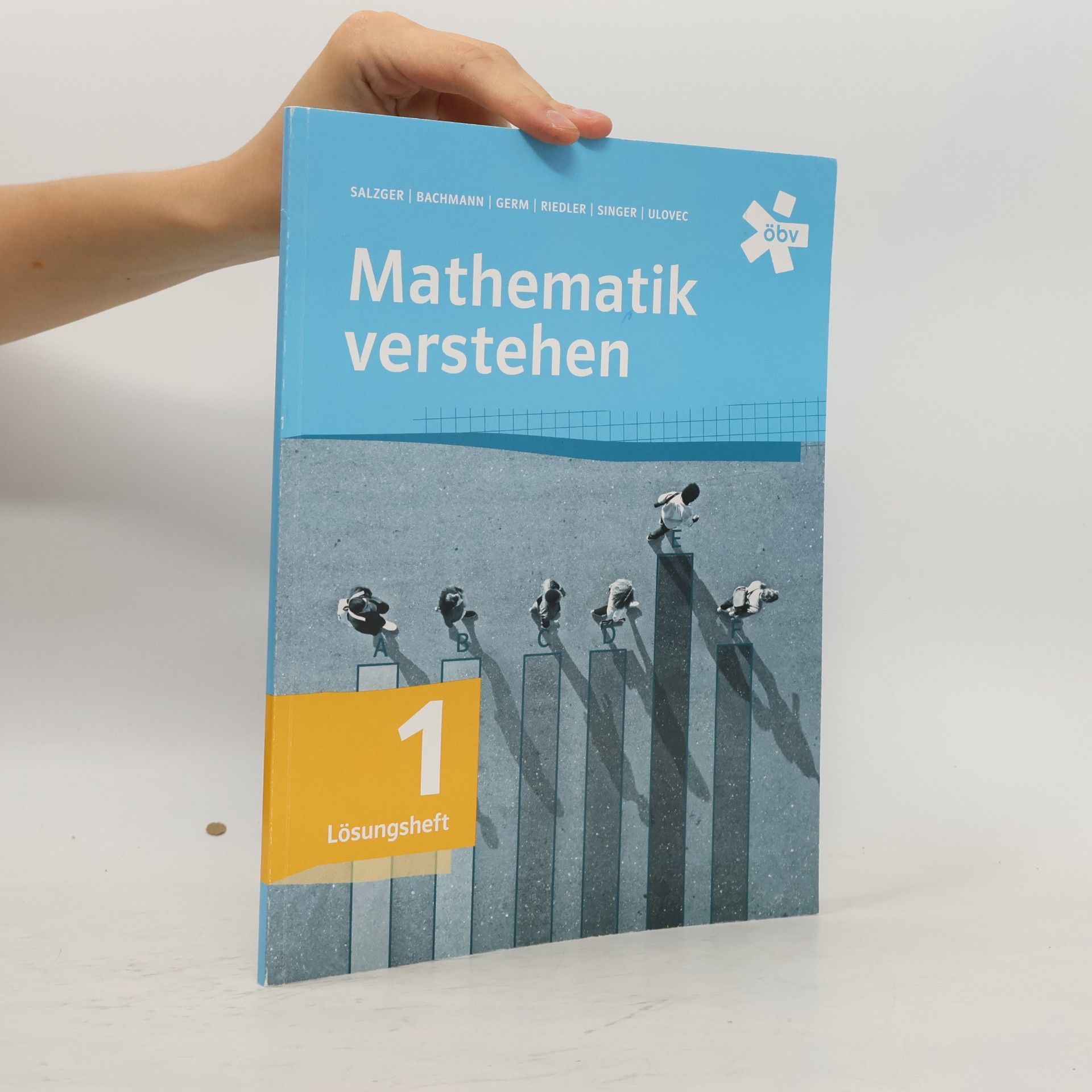 Bernhard Salzger Mathematik verstehen 1, Lösungen