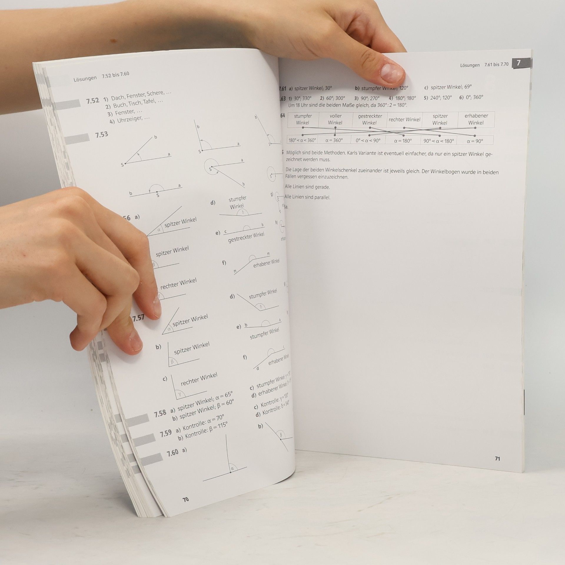 Bernhard Salzger Mathematik verstehen 1, Lösungen