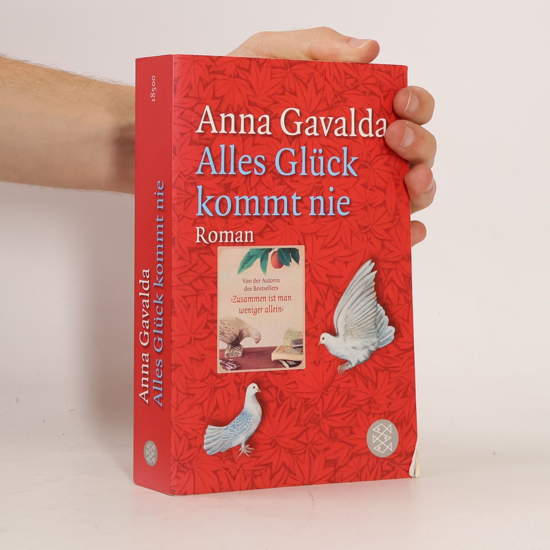 Anna Gavalda Alles Glück kommt nie