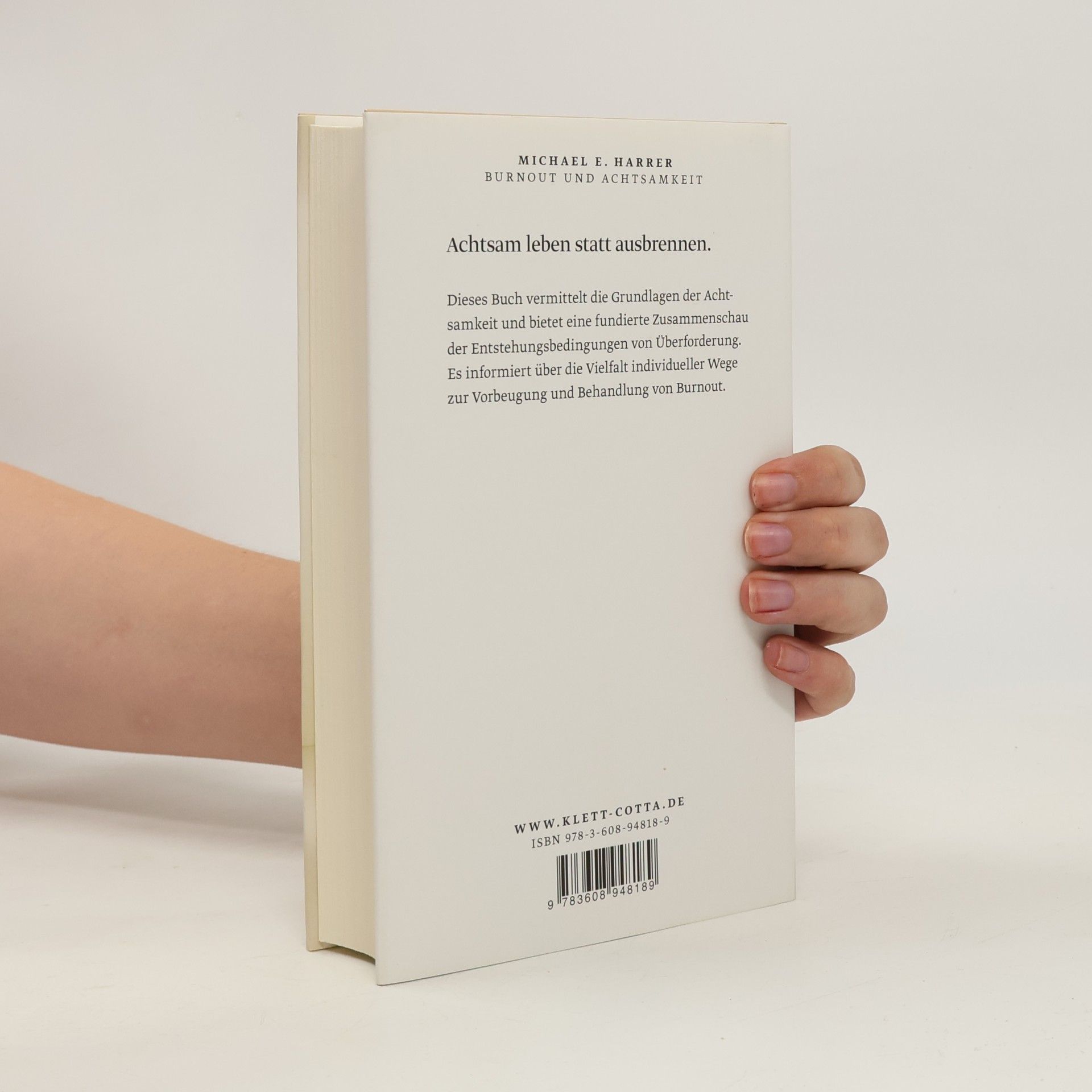 Michael E. Harrer Burnout und Achtsamkeit