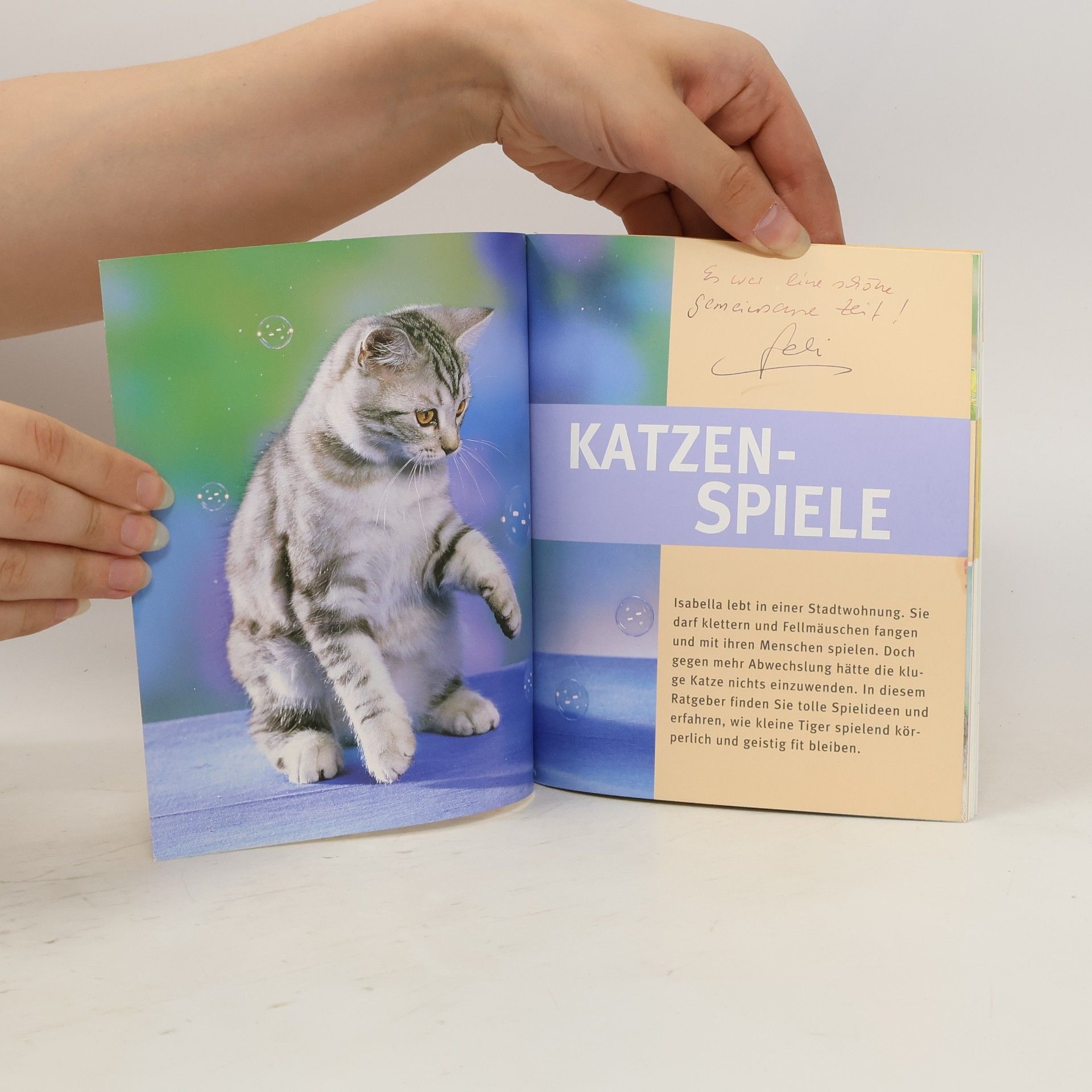Gabriele LinkeGrün Katzen-Spiele