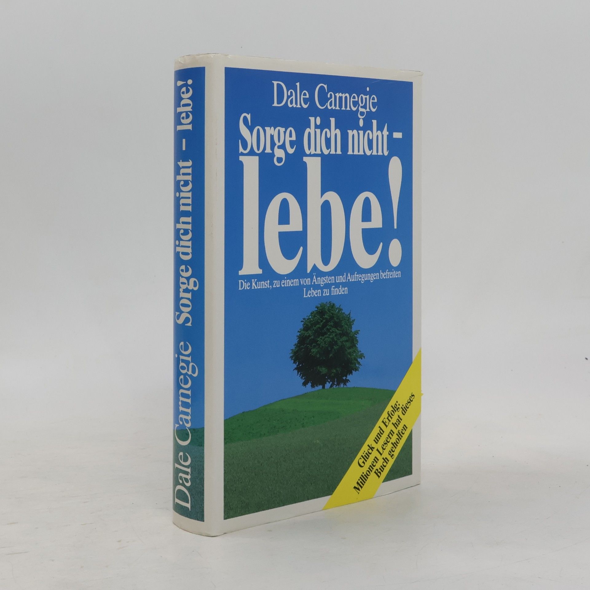 Dale Carnegie Sorge dich nicht - lebe!