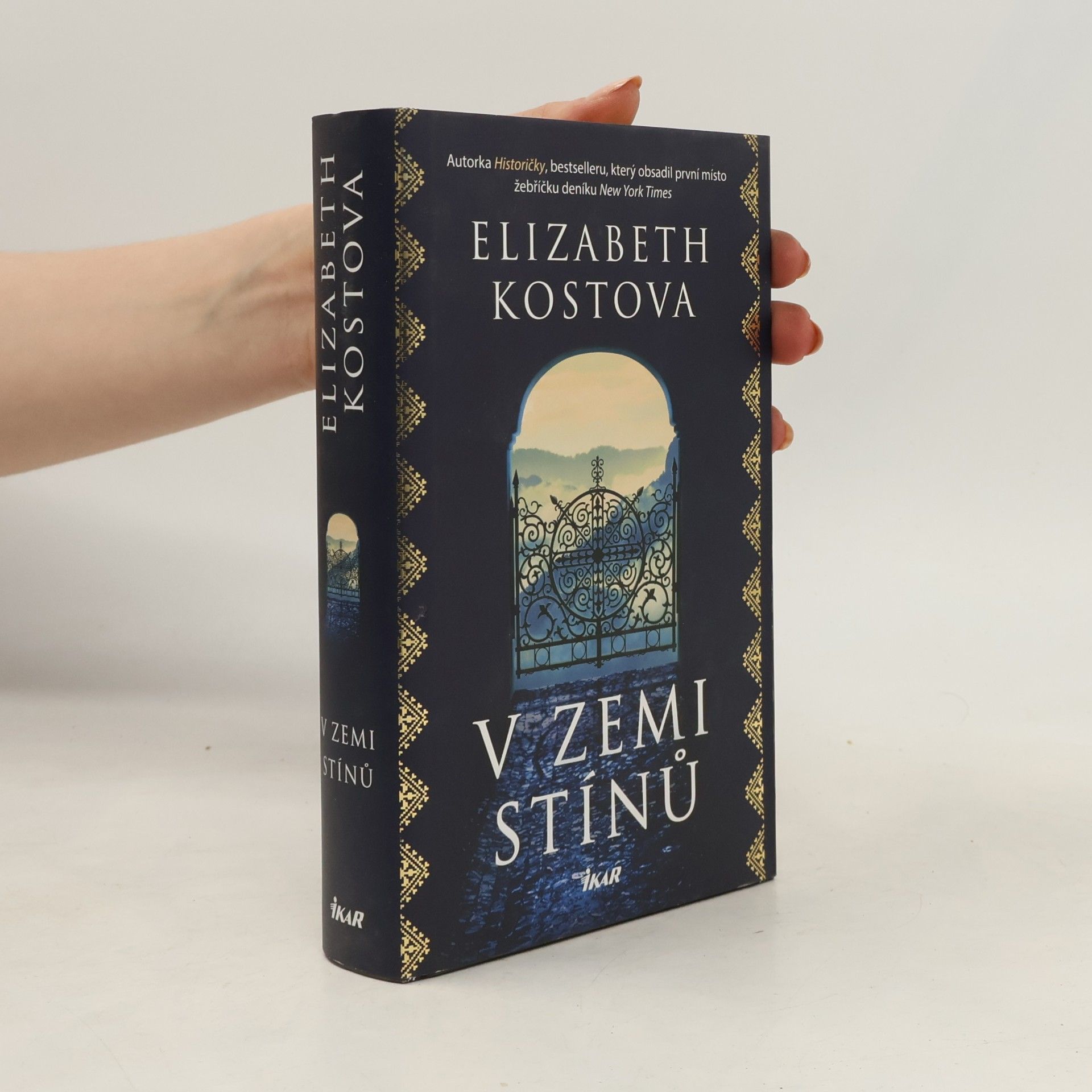 Elizabeth Kostova V zemi stínů