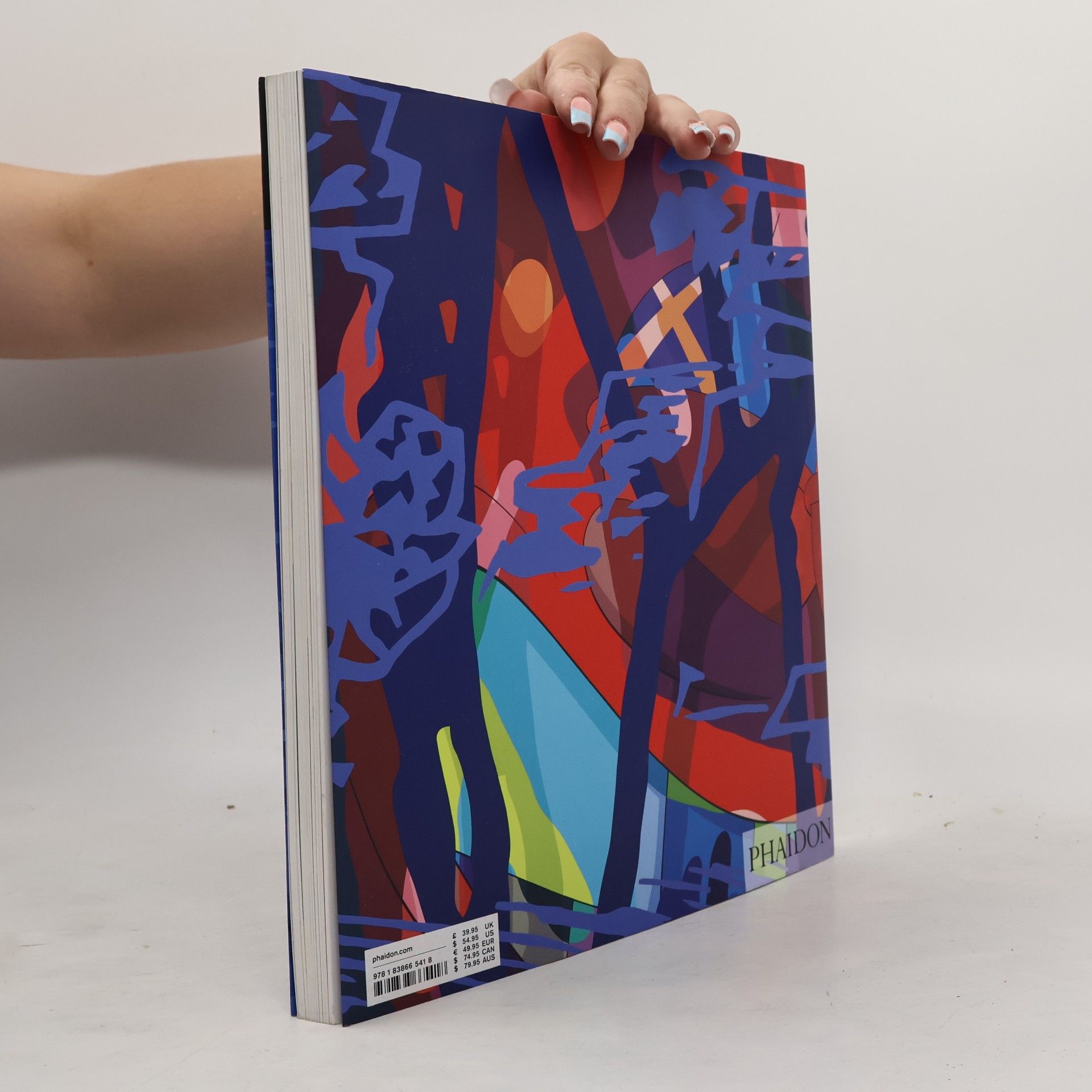 Jason Schmidt KAWS