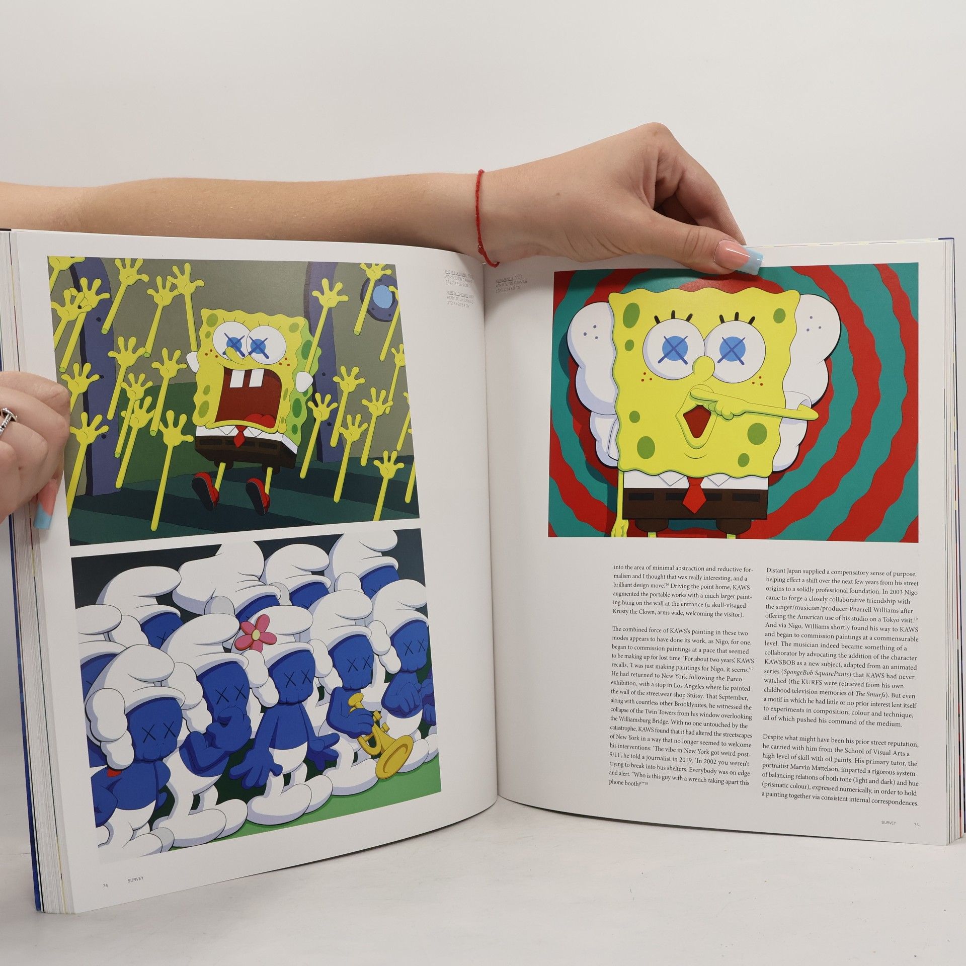 Jason Schmidt KAWS