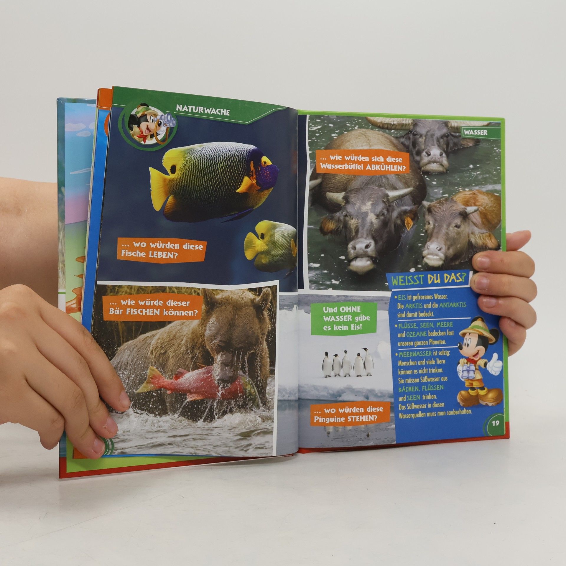 Autorenkollektiv Unsere Tierfreunde 2. Elefanten Delfine Seeotter