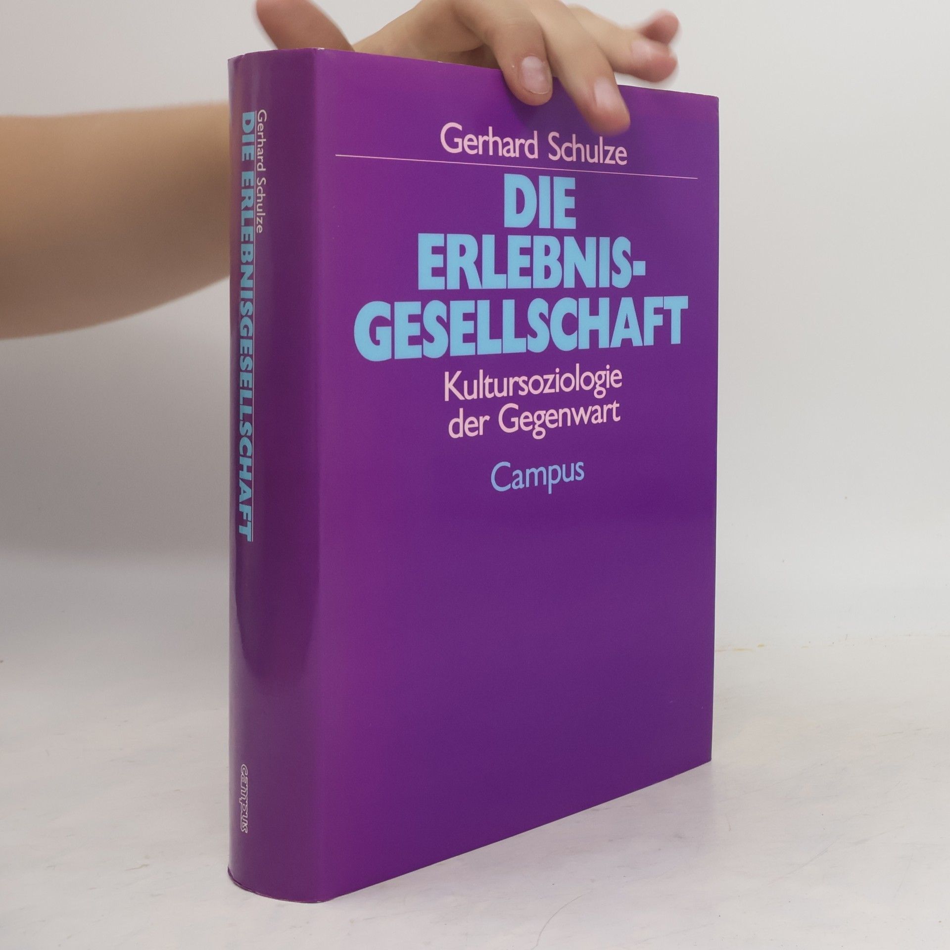 Gerhard Schulze Die Erlebnis-Gesellschaft