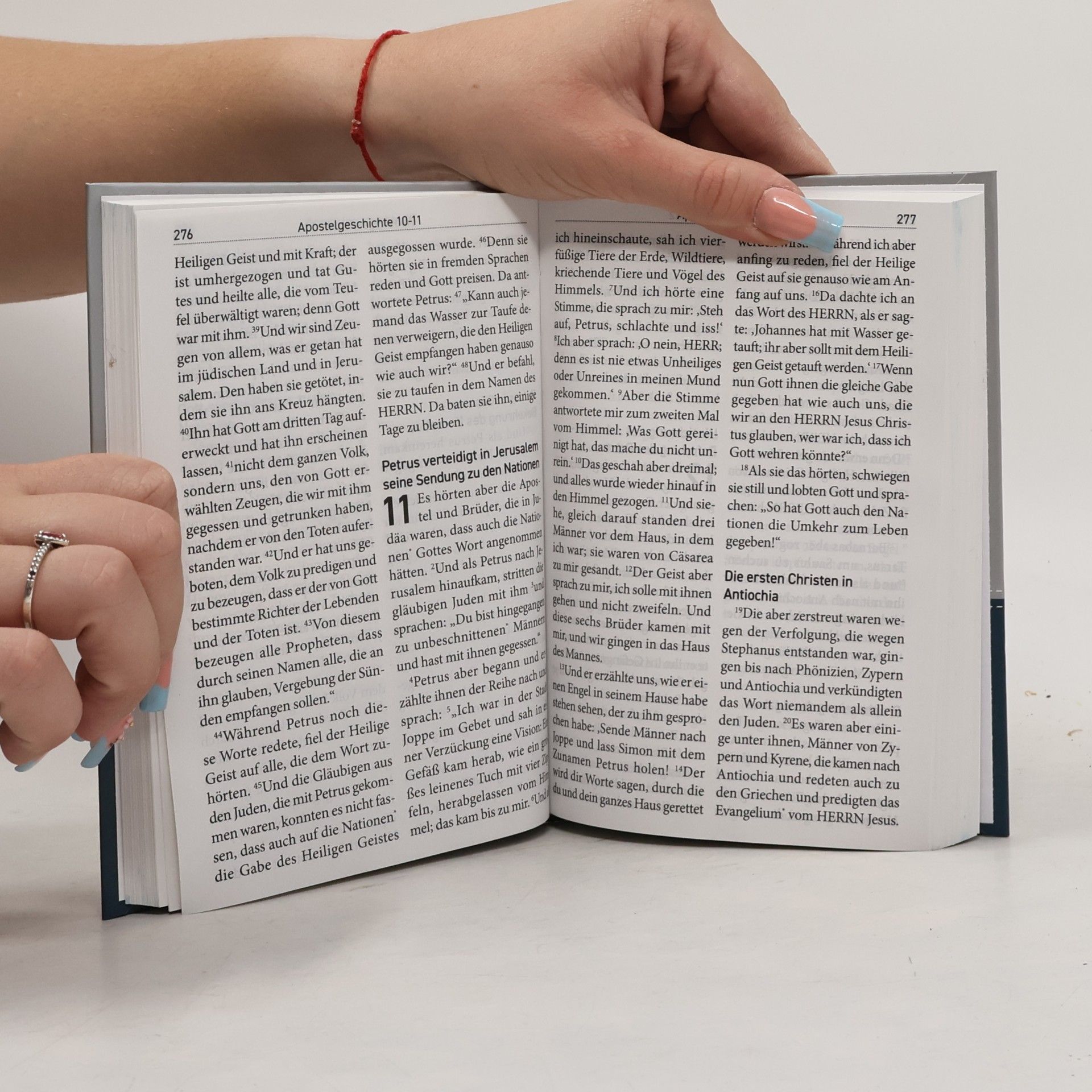 Martin Luther Die Bibel. Neues Testament mit Psalmen & Sprüchen