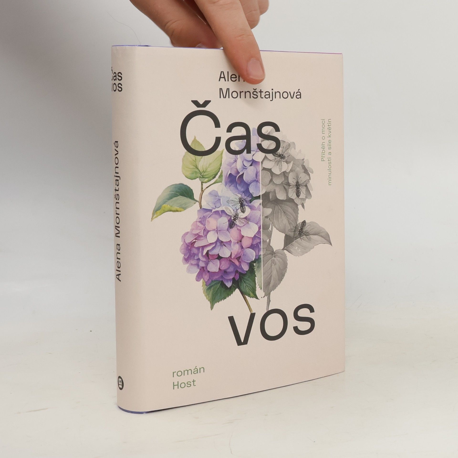 Alena Mornštajnová Čas vos