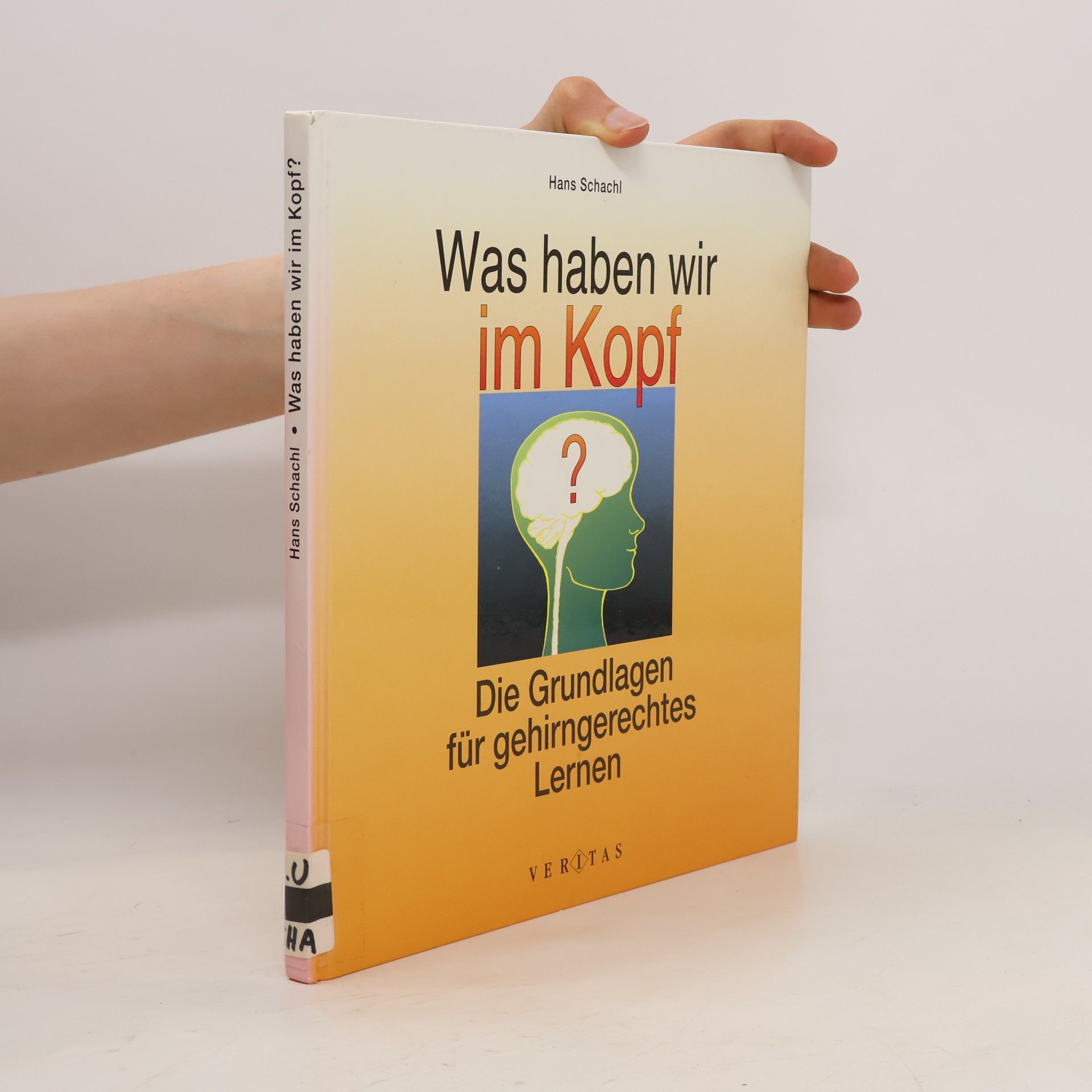 Was haben wir im Kopf?