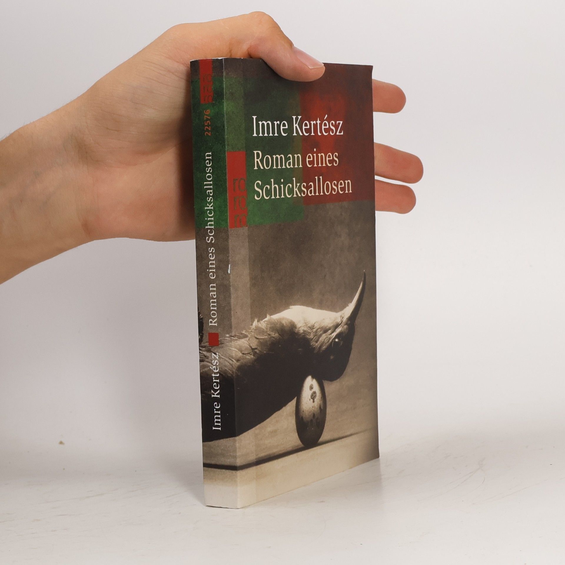 Roman eines Schicksallosen