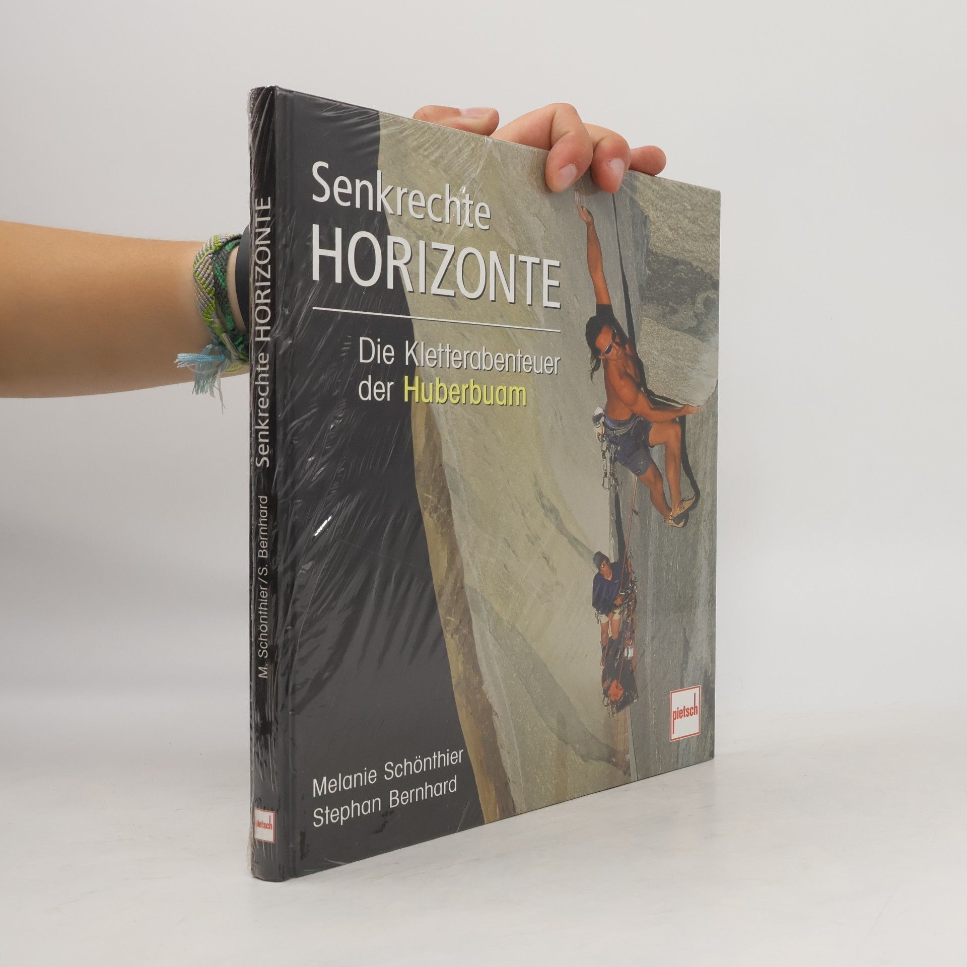 Melanie Schönthier Senkrechte Horizonte