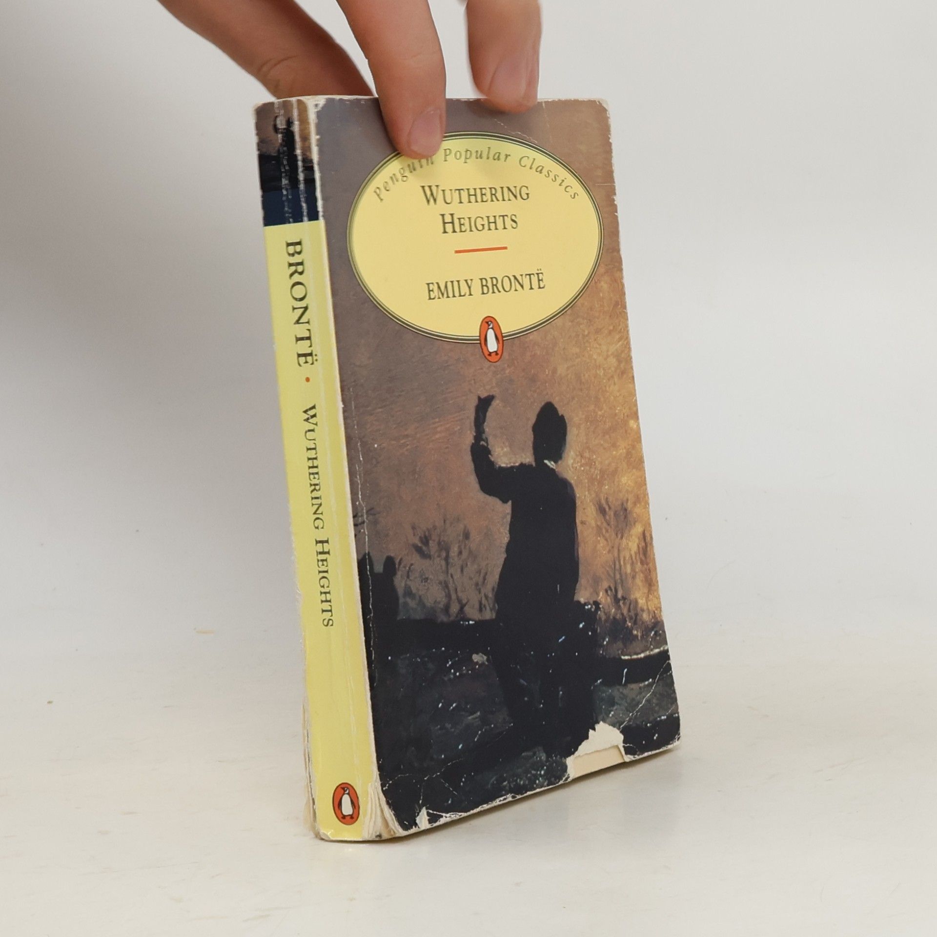 Emily Brontë Wuthering Heights