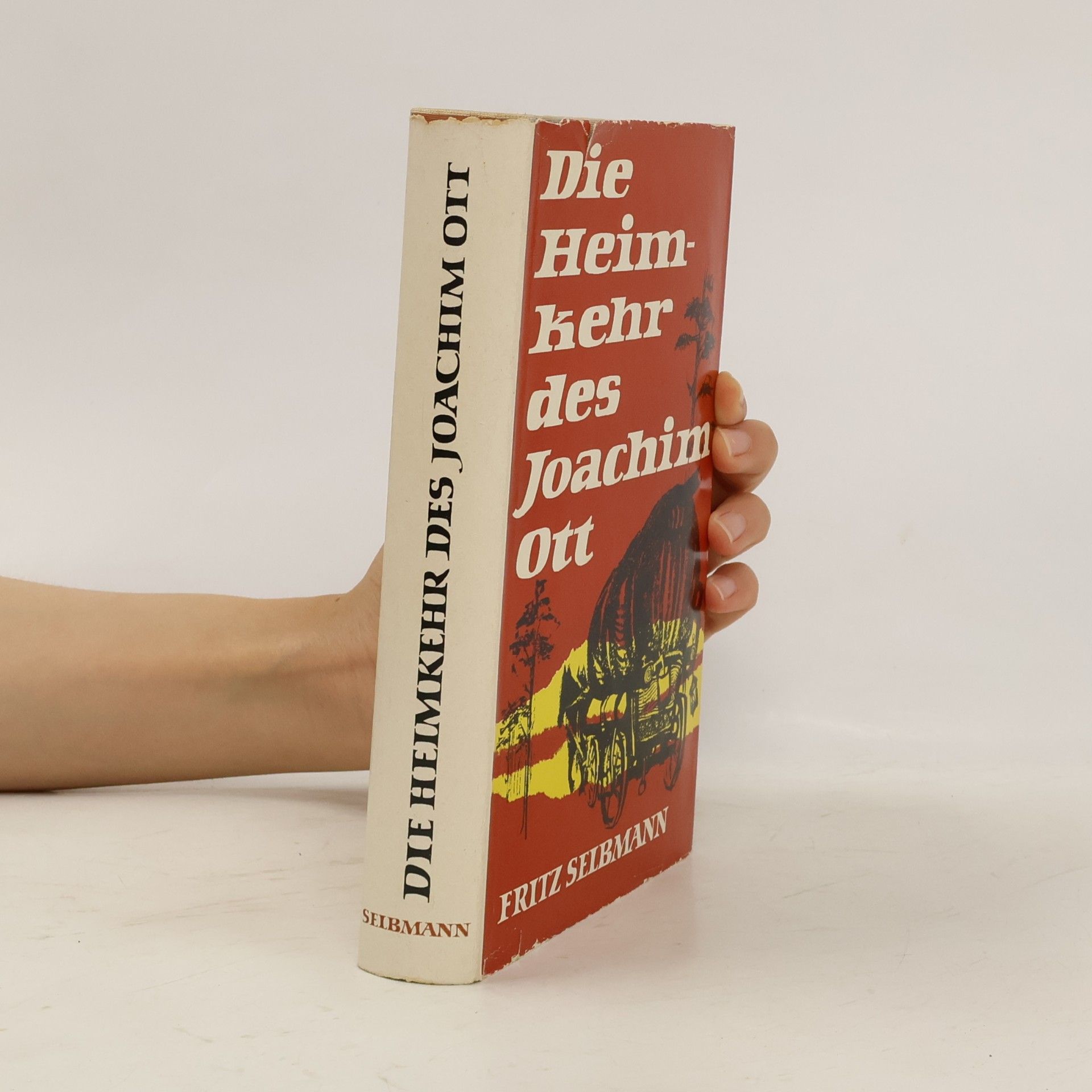 Die Heimkehr des Joachim Ott