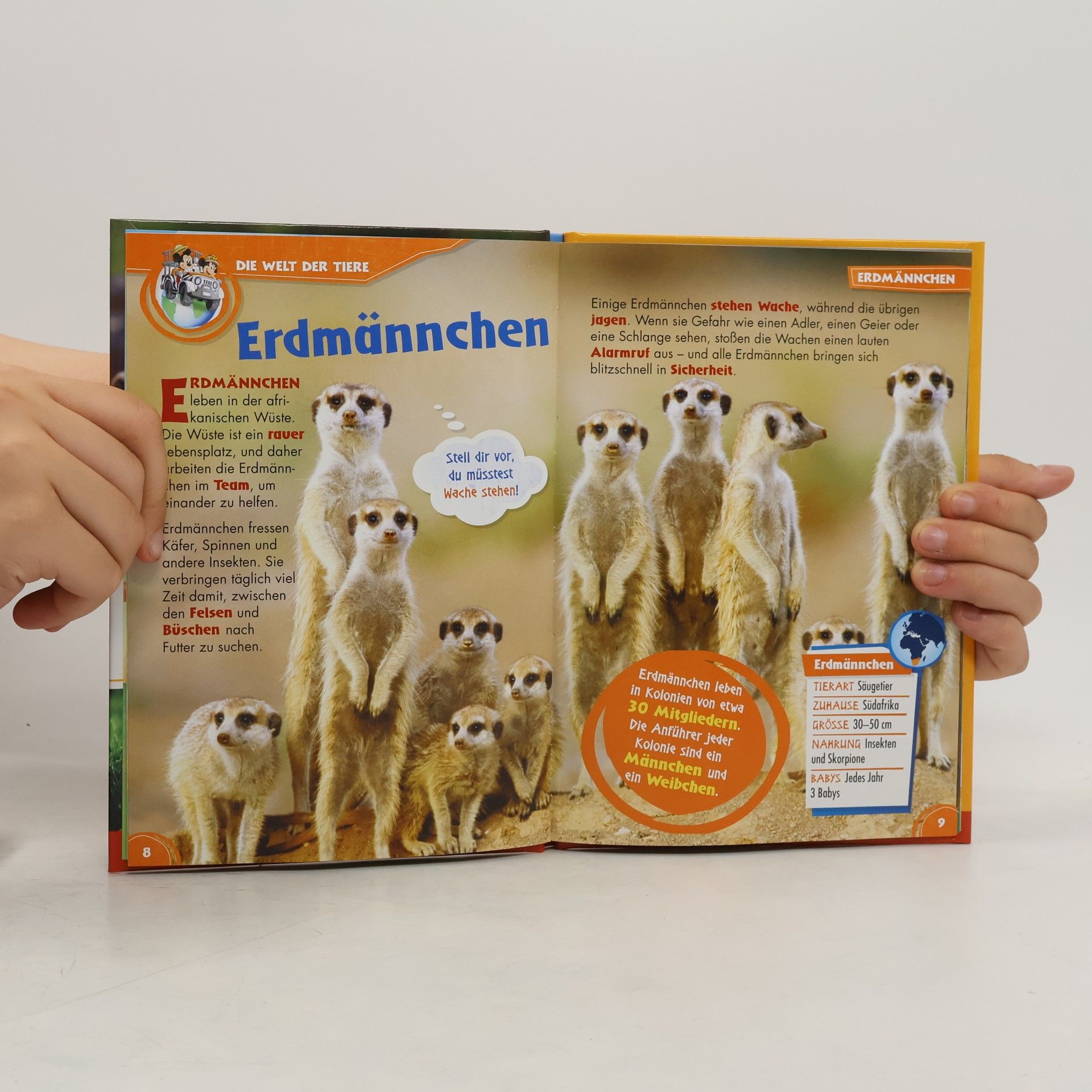 Autorenkollektiv Unsere Tierfreunde 15