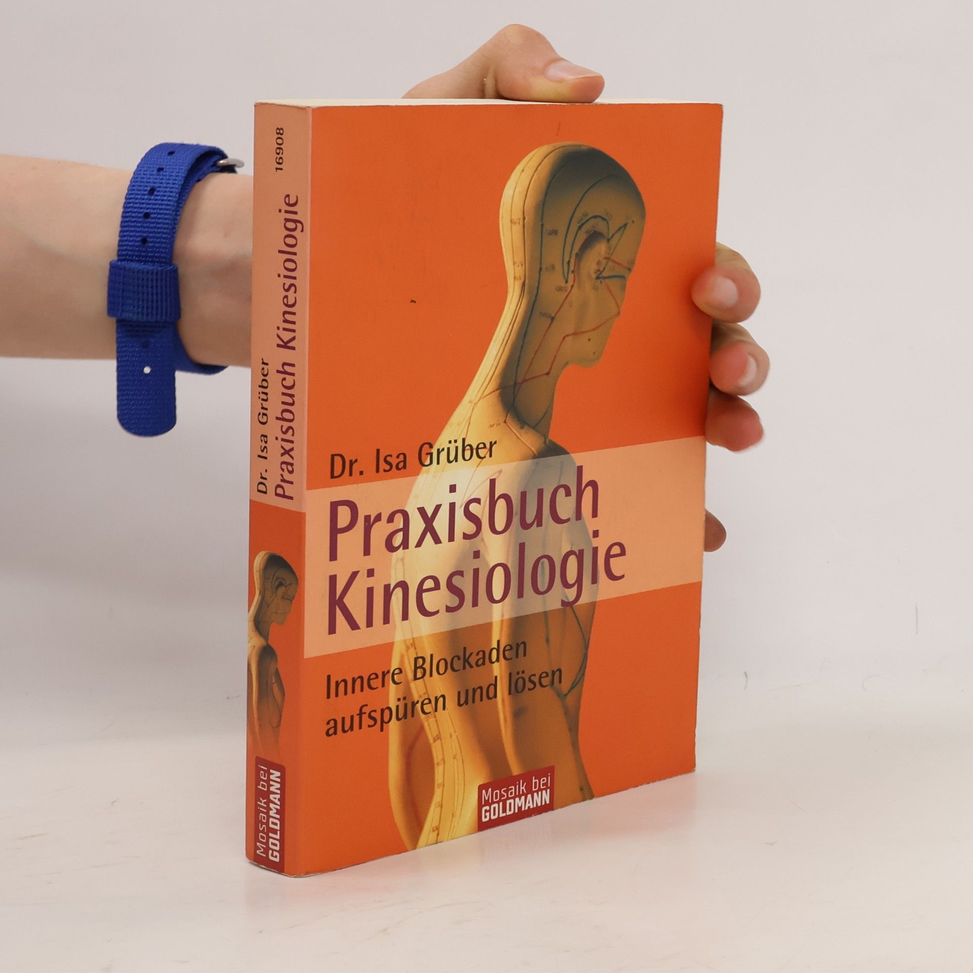 Isa Grüber Praxisbuch Kinesiologie