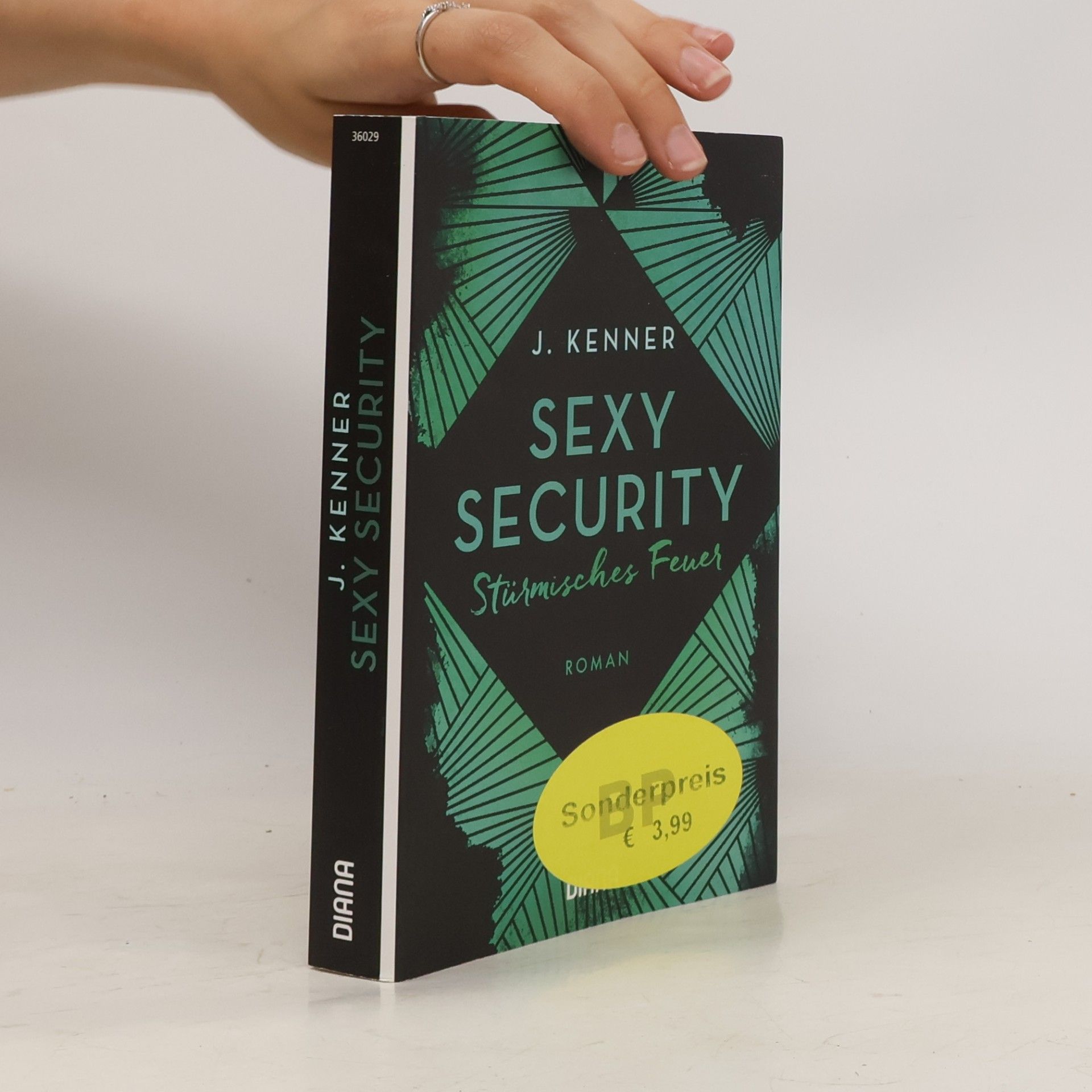 Julie Kenner Sexy Security. Stürmisches Feuer - Roman