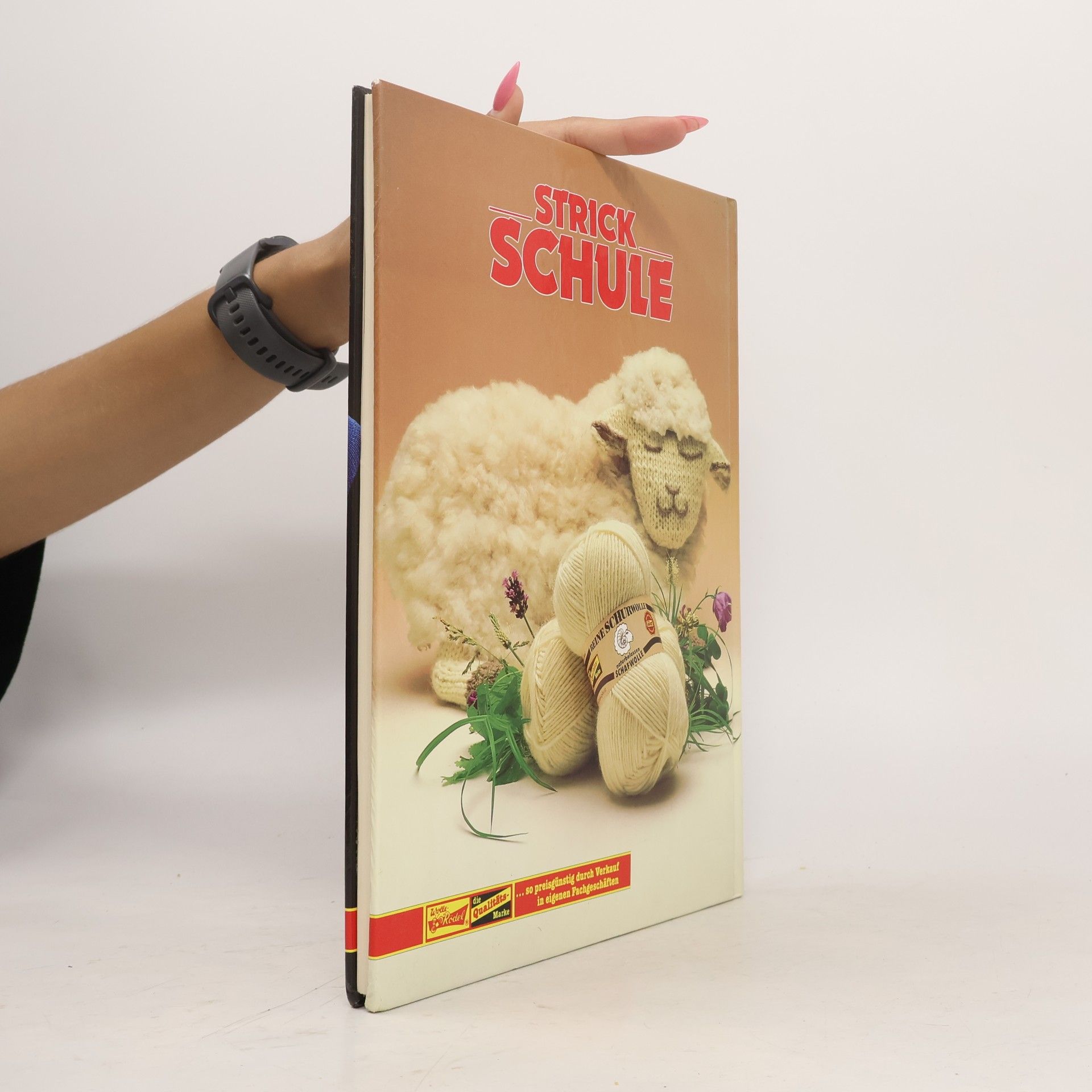 Collectif d'auteurs Strick Schule