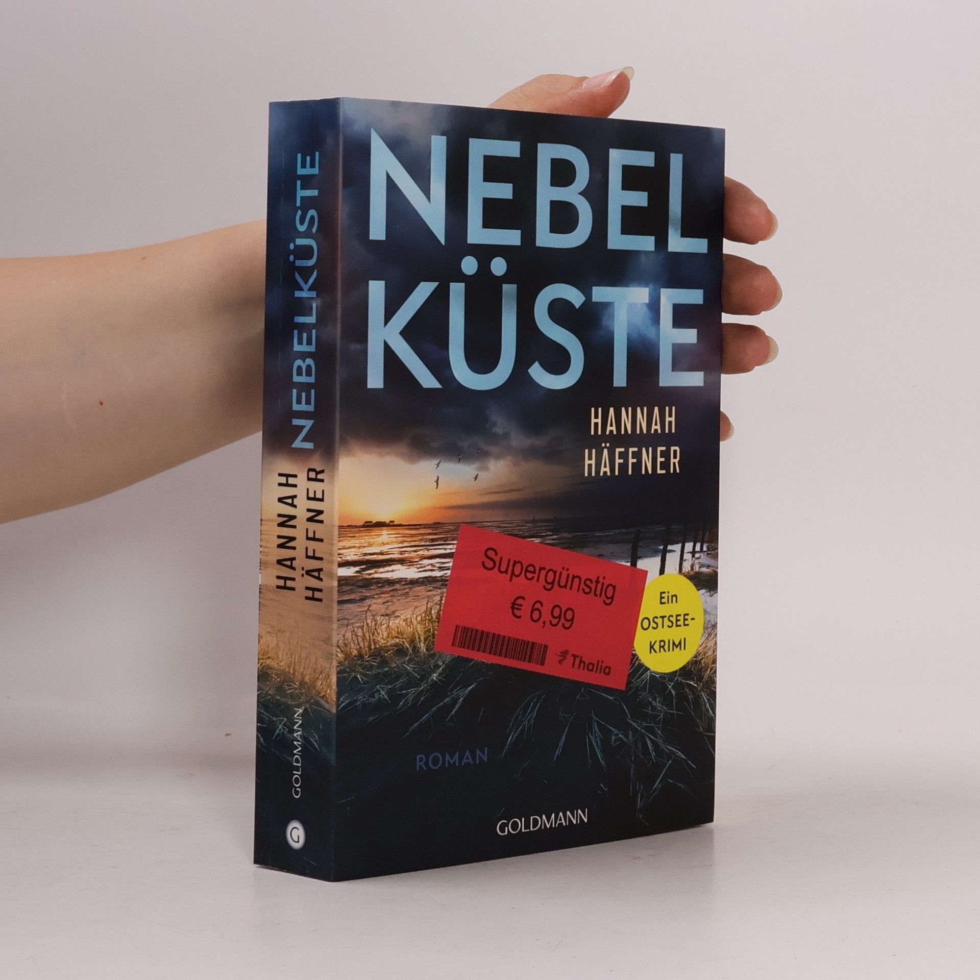 Hannah Häffner Nebelküste