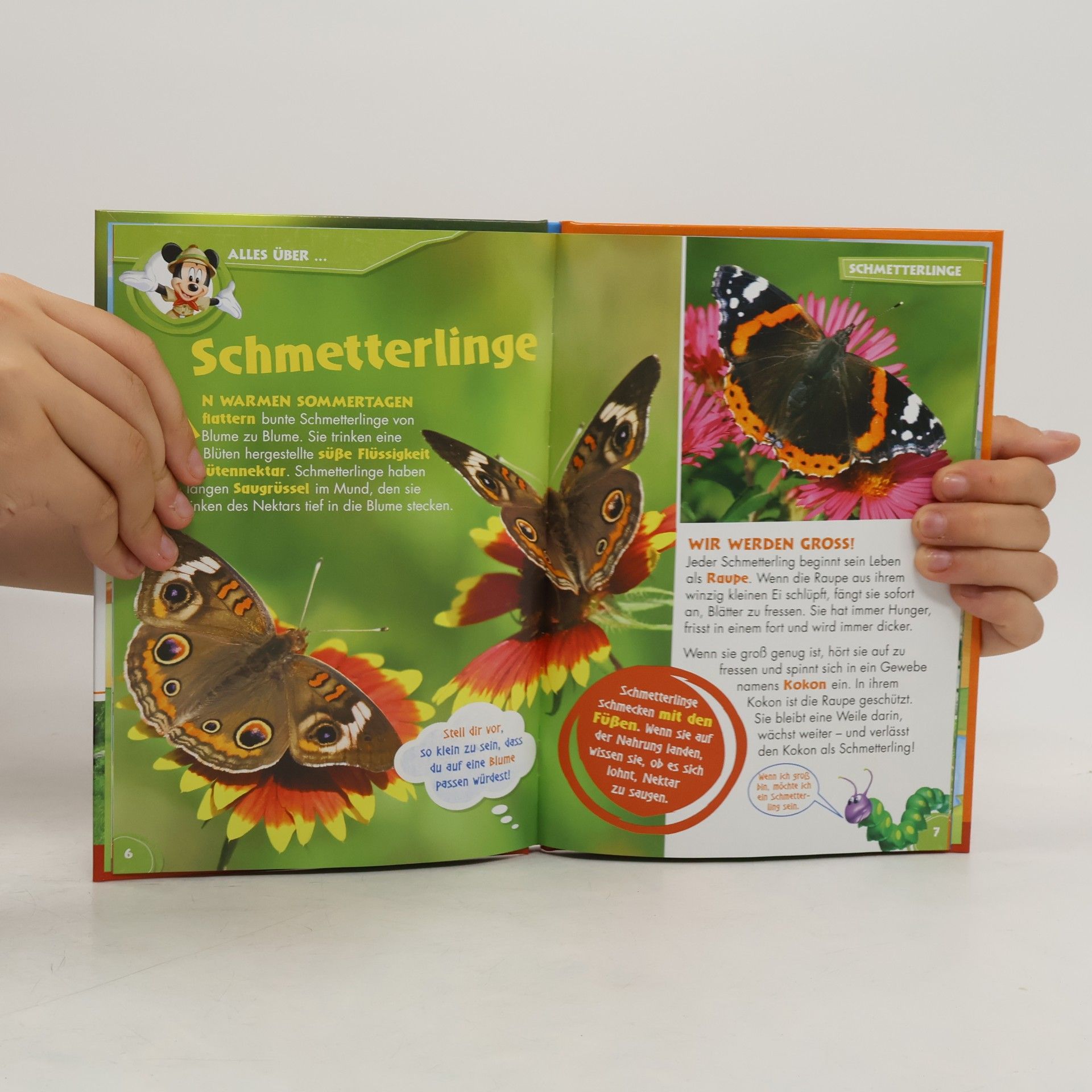 Autorenkollektiv Unsere Tierfreunde 18