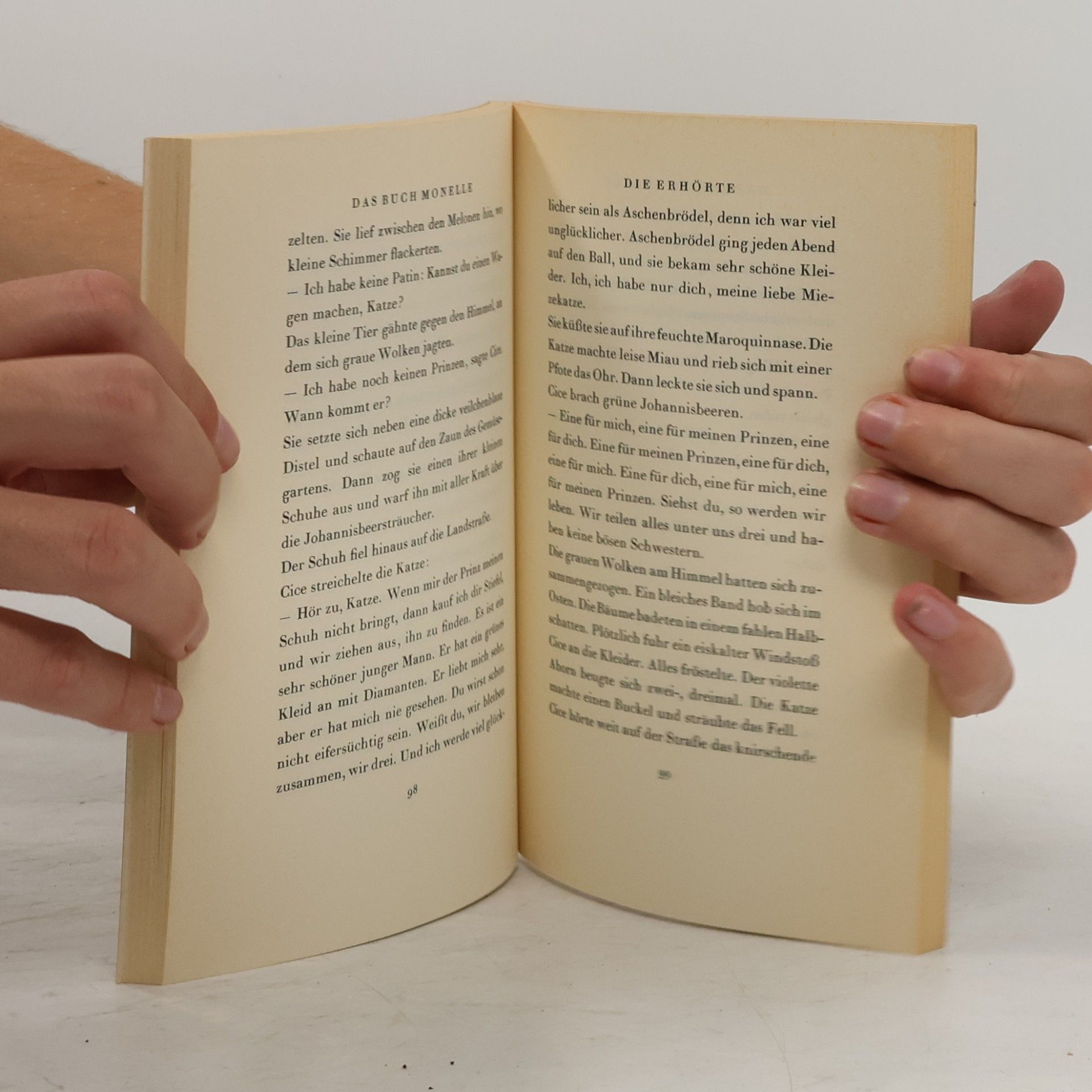Marcel Schwob Das Buch Monelle