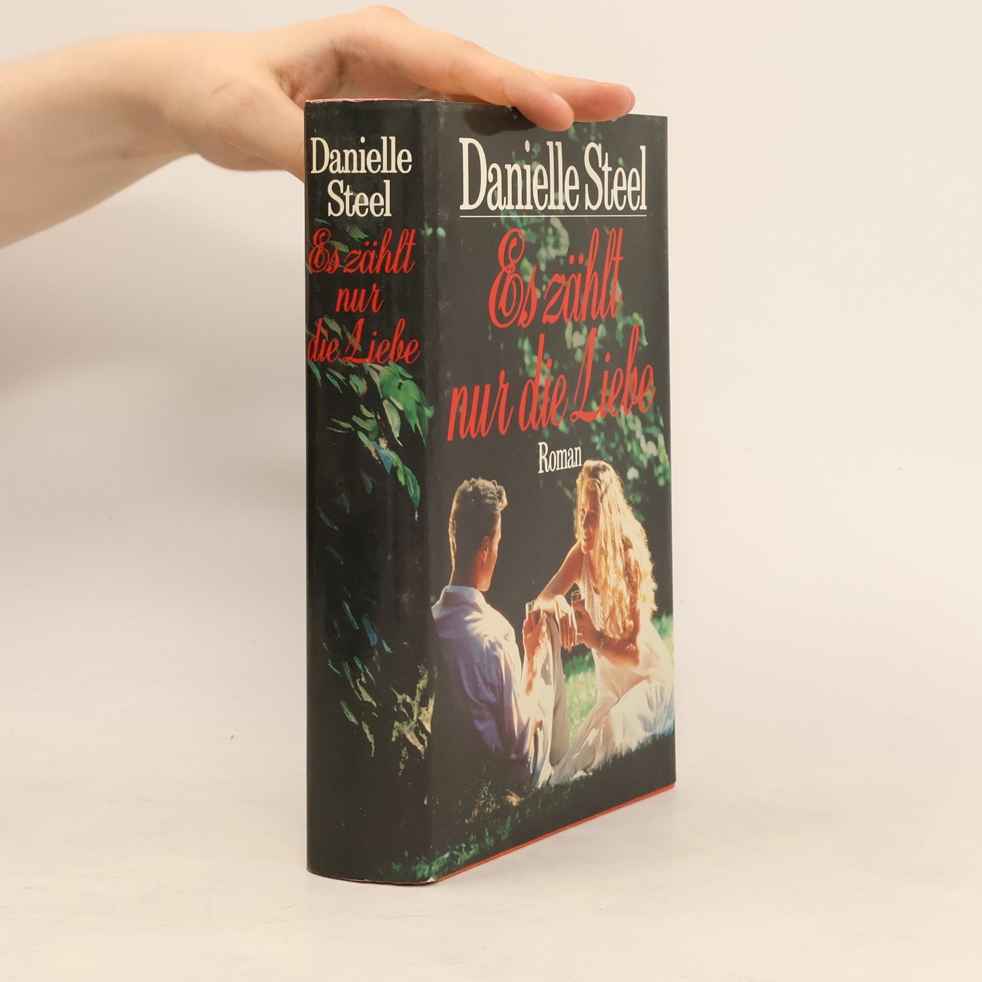 Danielle Steel Es zählt nur die Liebe