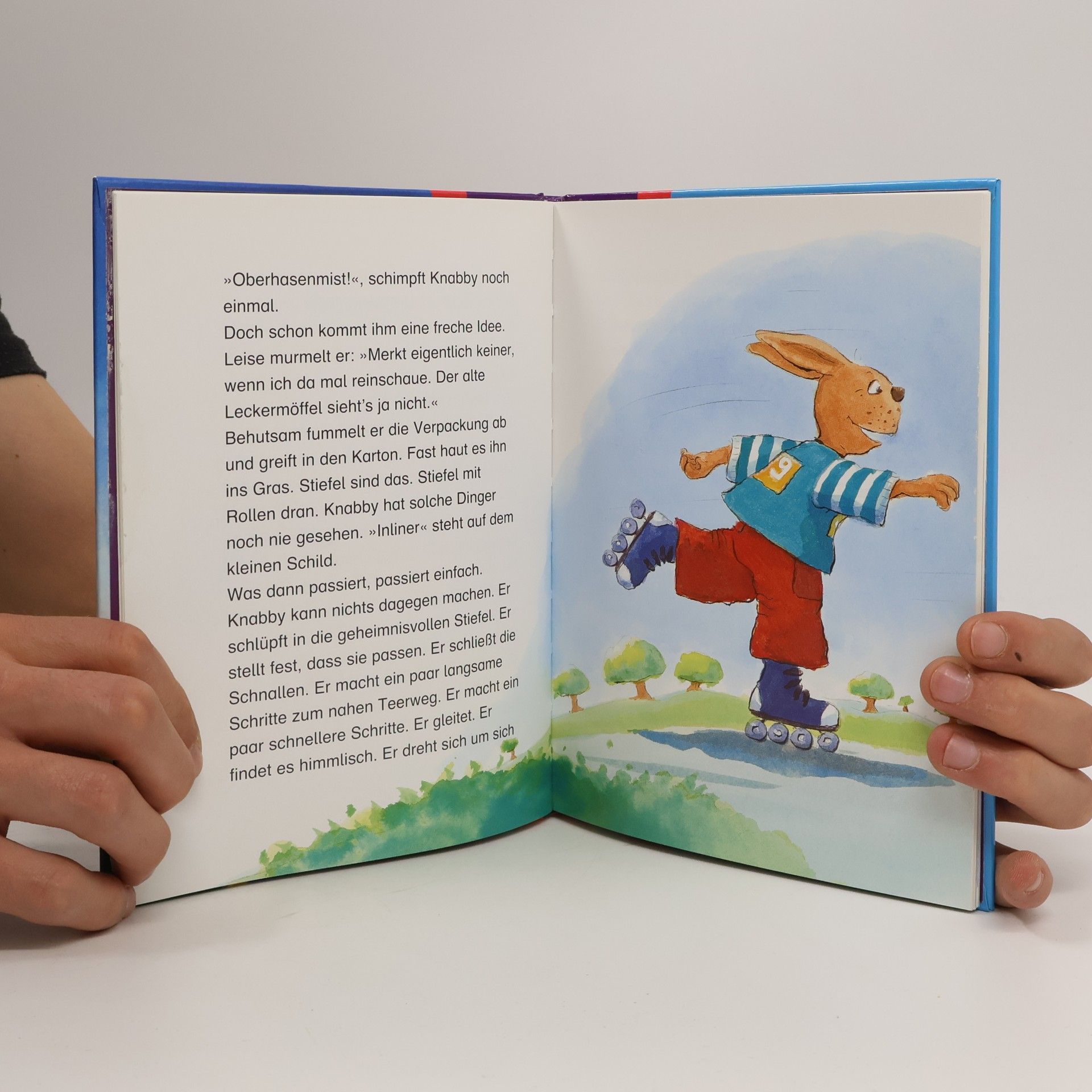Heidemarie Brosche Ein ganz besonderer Osterbrief und andere Osterhasengeschichten