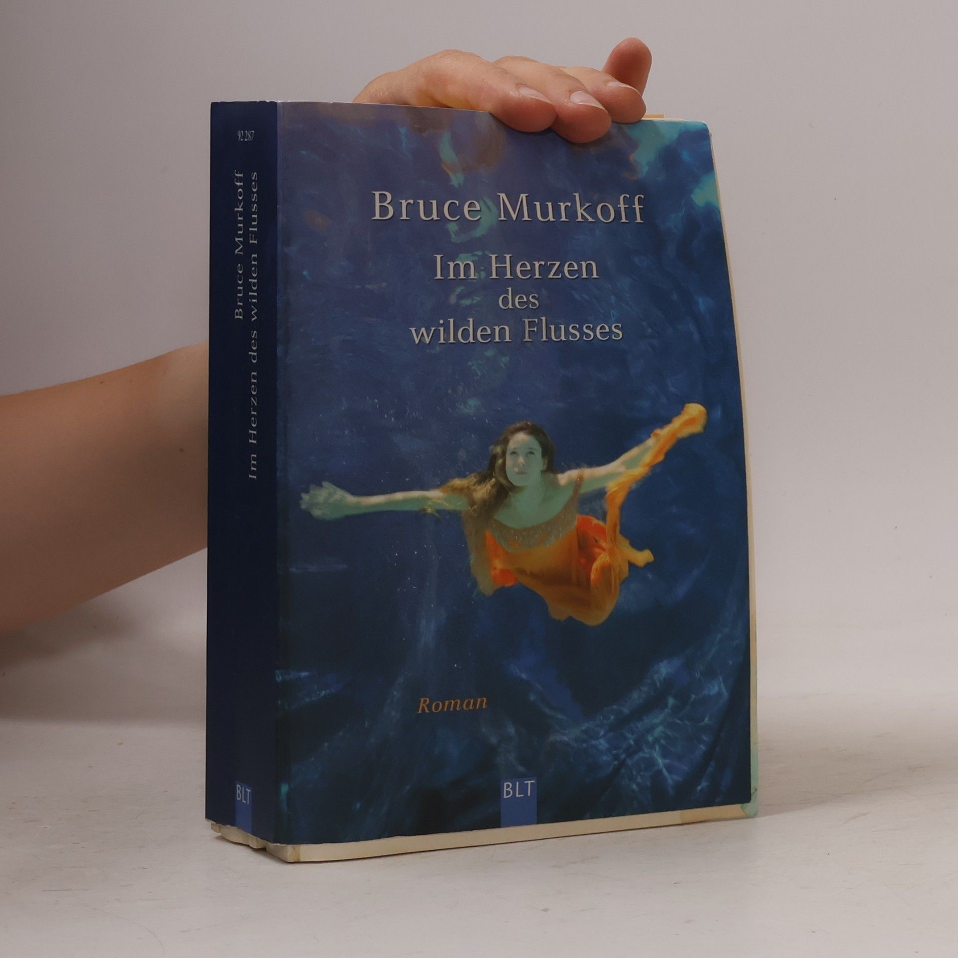 Bruce Murkoff Im Herzen des wilden Flusses