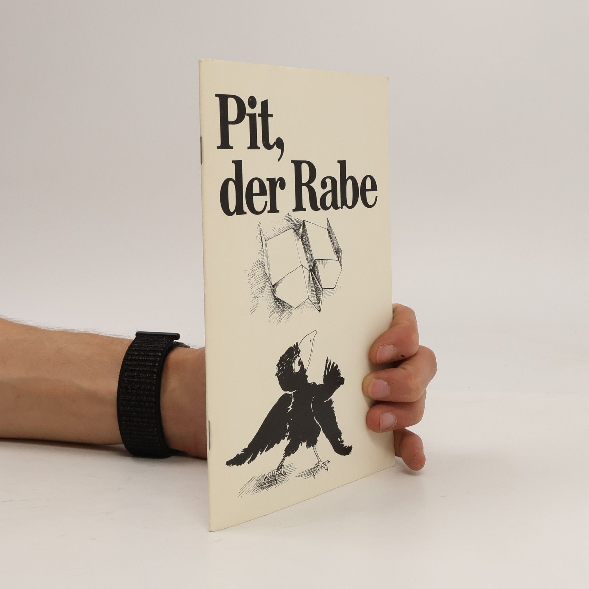 Jens Bartnitzky Pit, der Rabe
