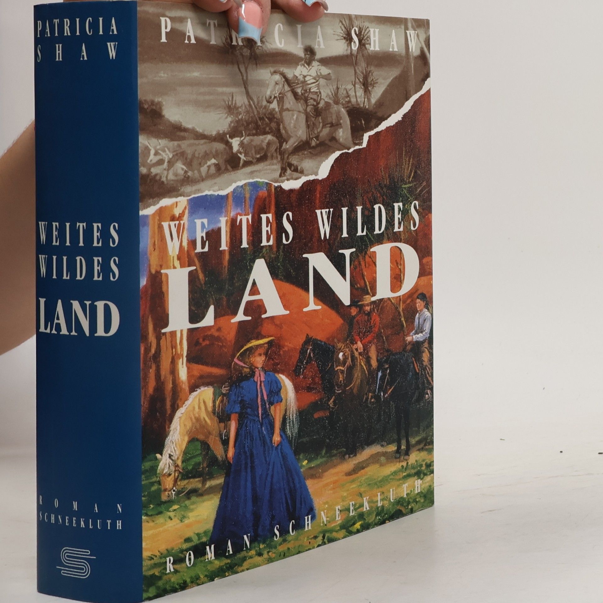 Patricia Shaw Weites wildes Land